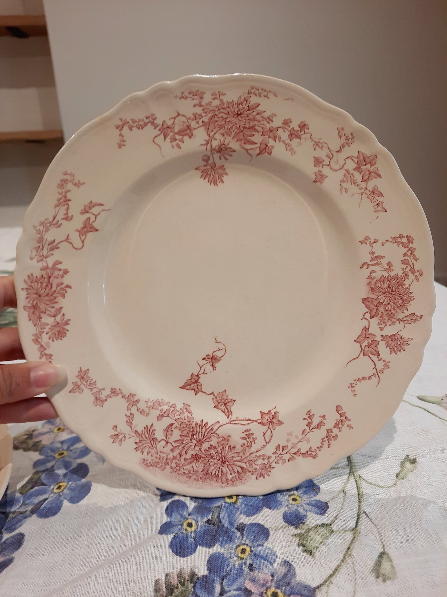 6 assiettes plates (1)
