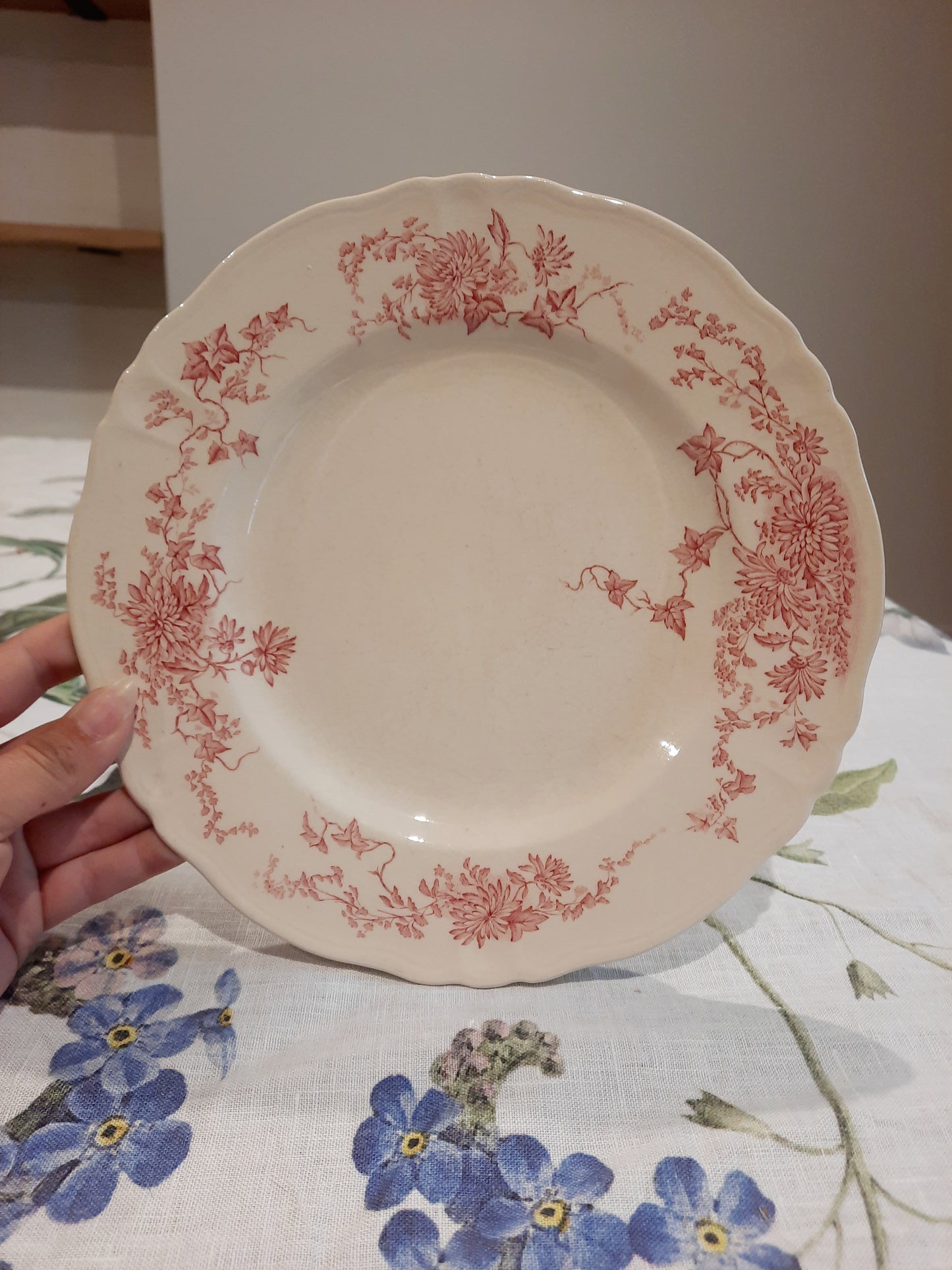 6 assiettes plates (1)