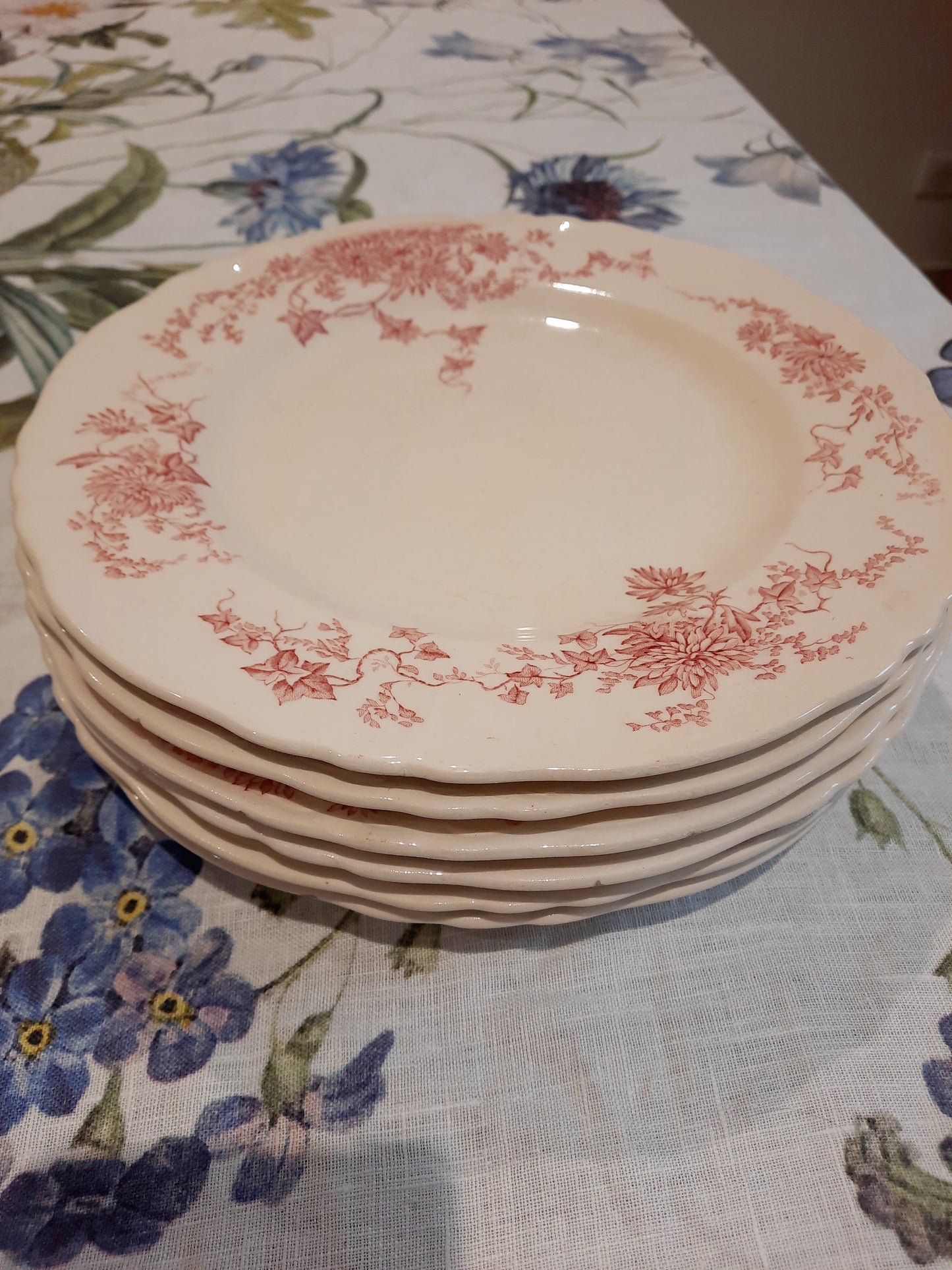 6 assiettes plates (1)