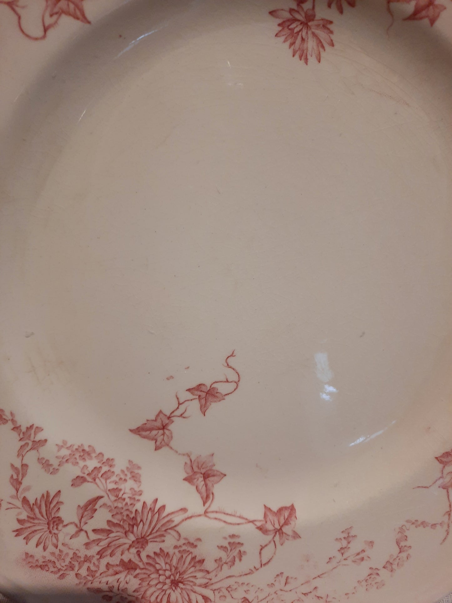 6 assiettes plates (2)