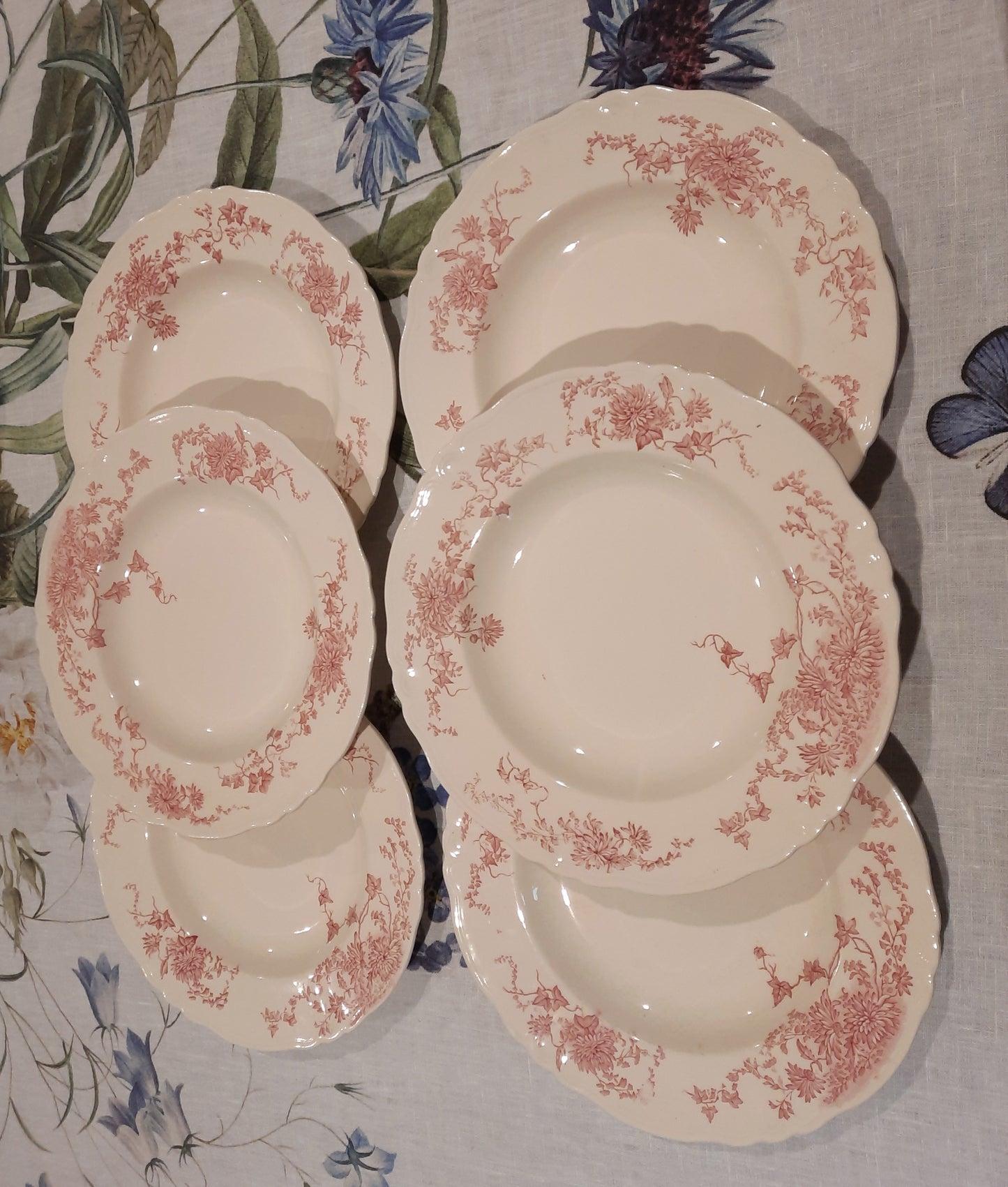 6 assiettes creuses