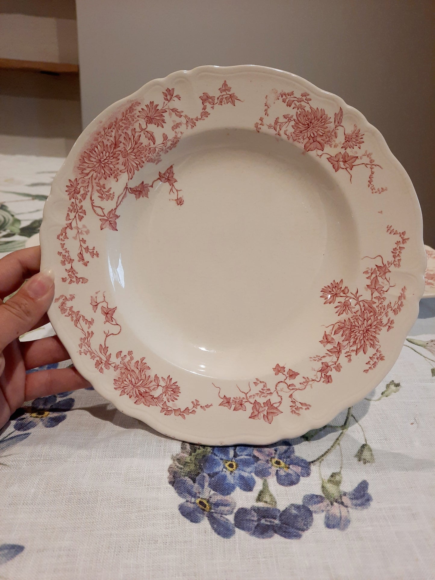 6 assiettes creuses