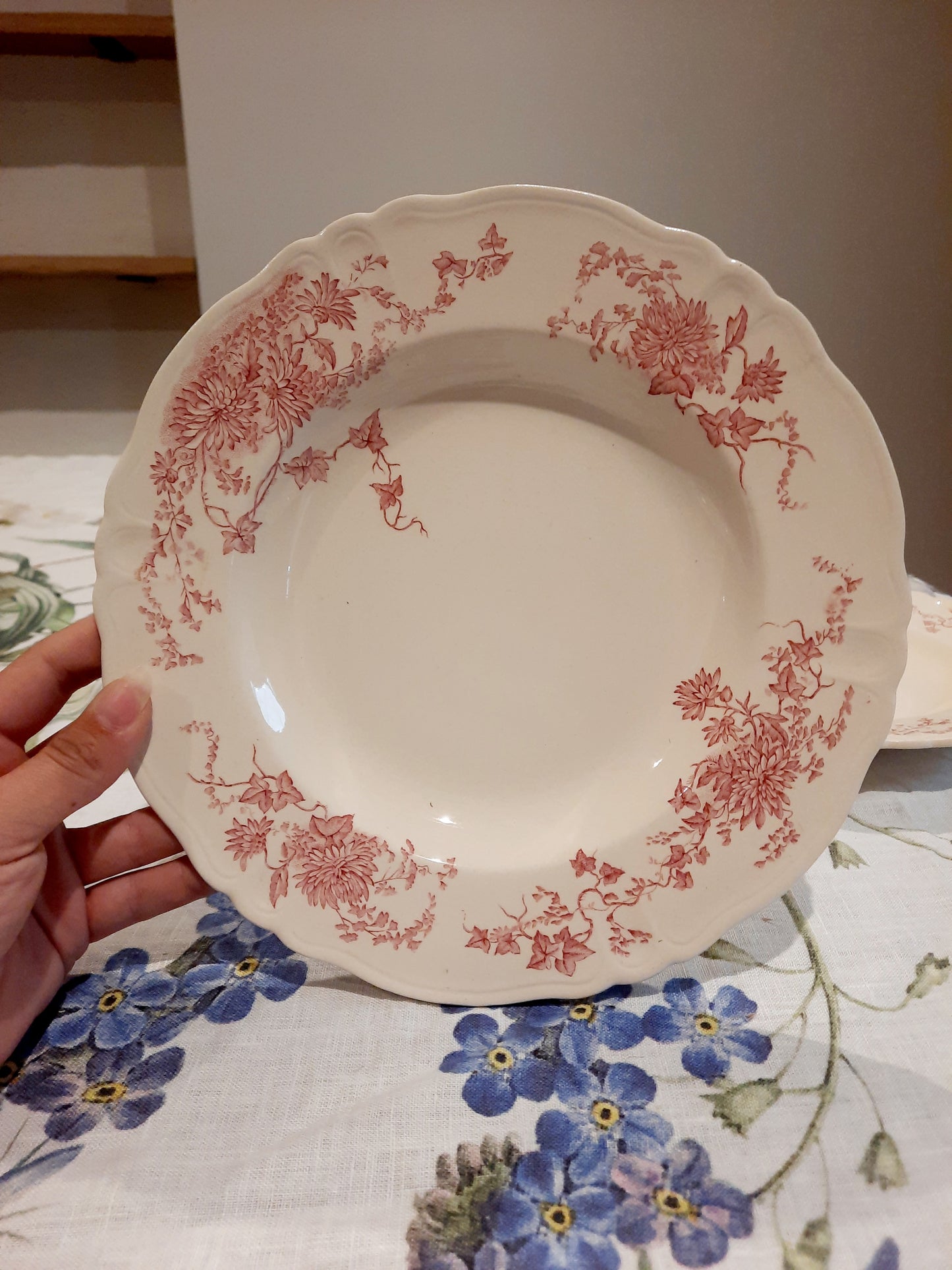 6 assiettes creuses