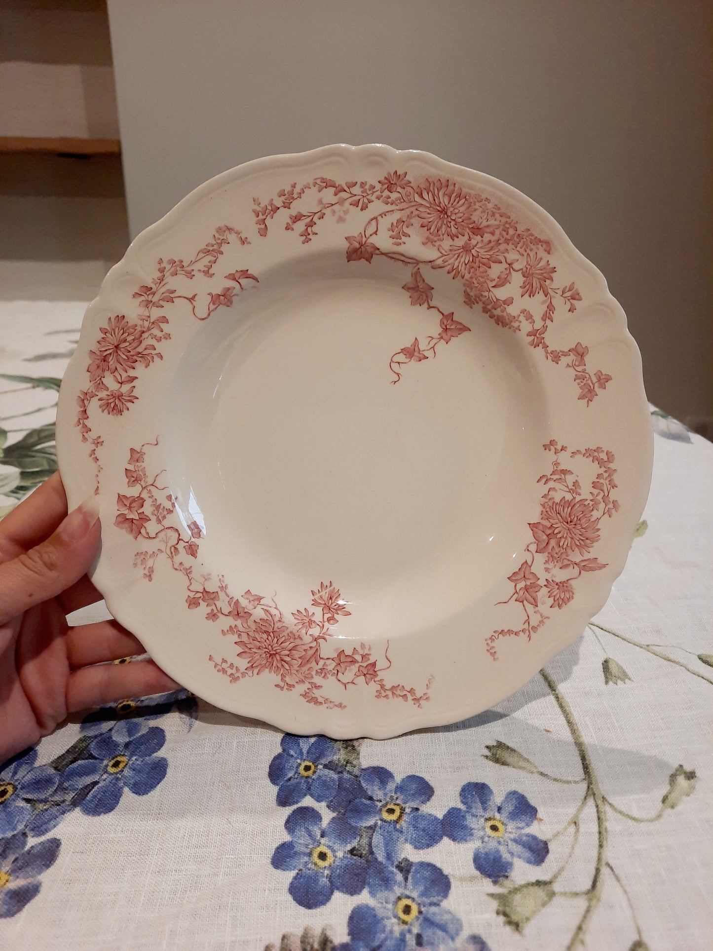 6 assiettes creuses