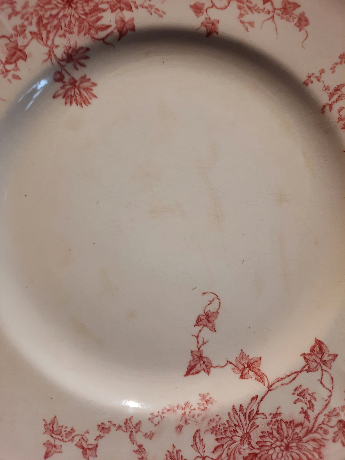 4 assiettes plates (1)