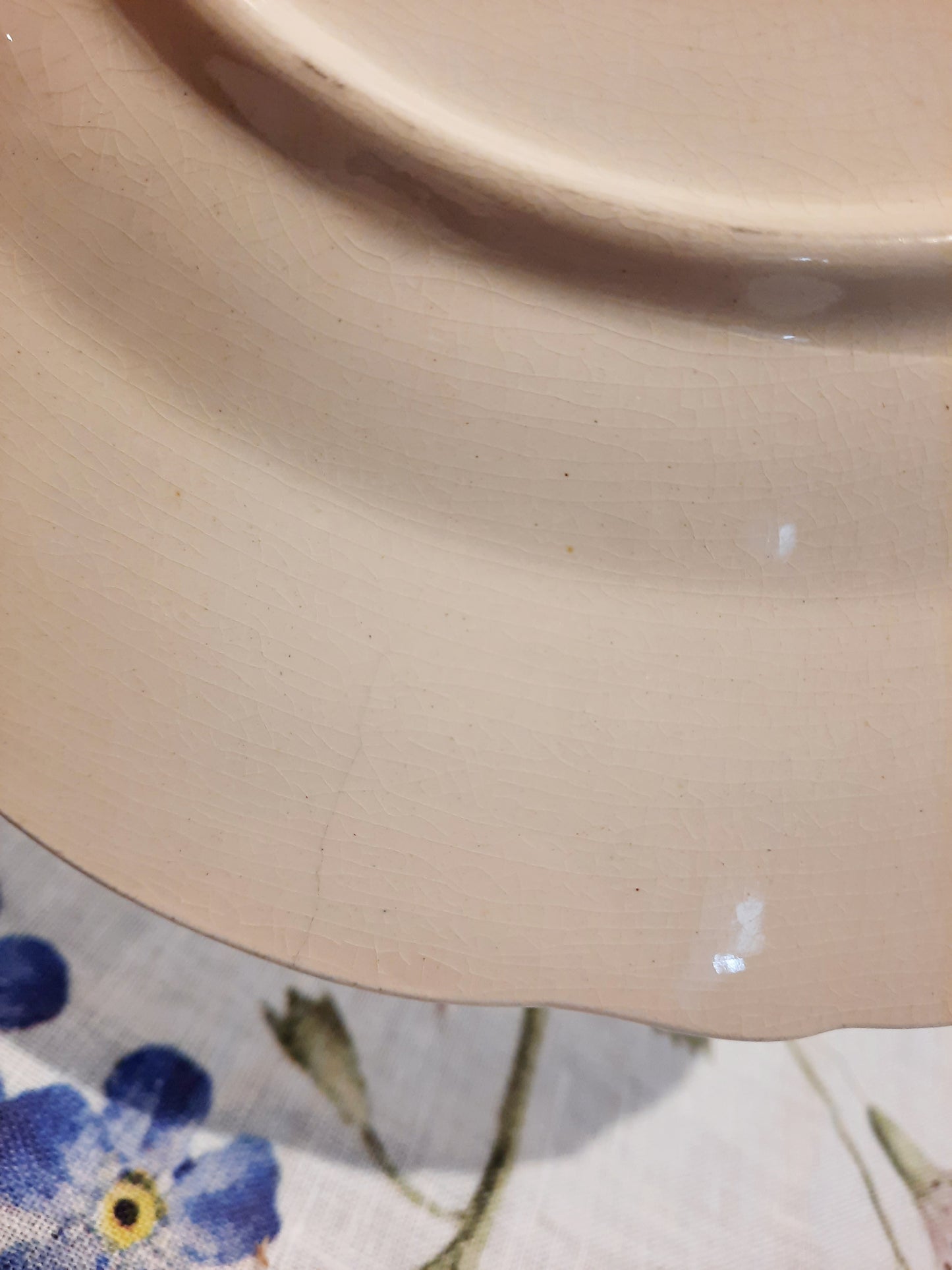 1 assiette plate (1)