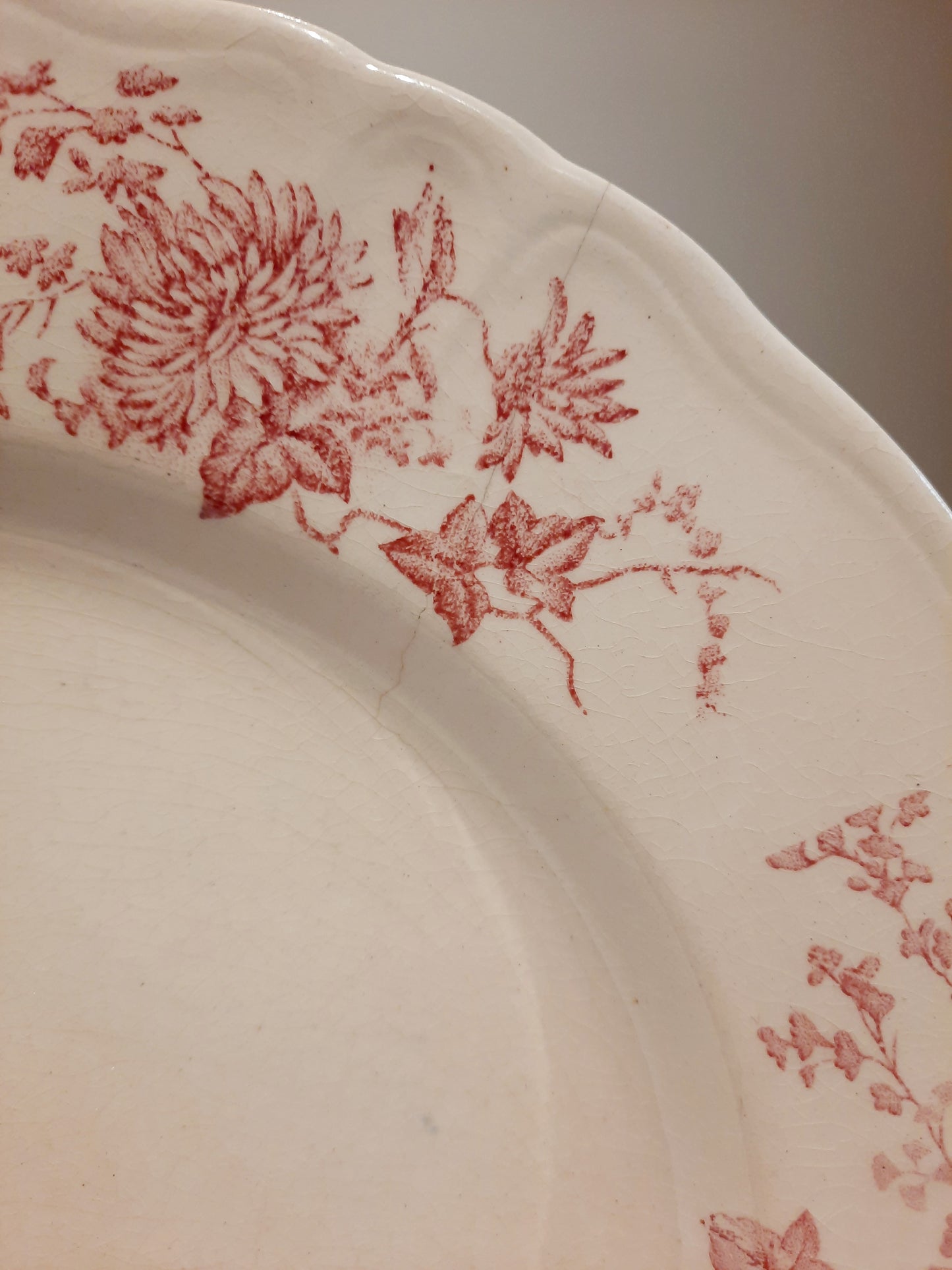 1 assiette plate (2)