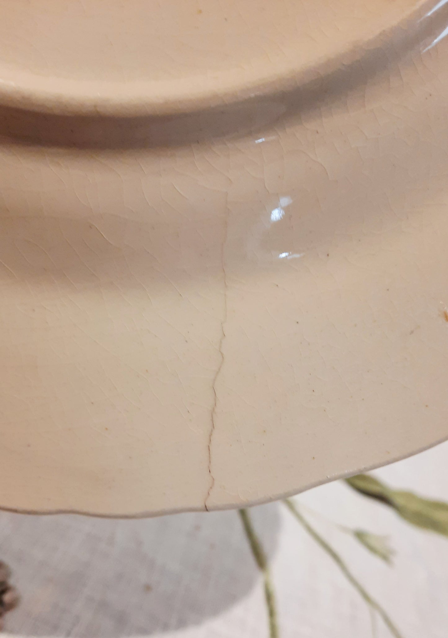 1 assiette plate (2)