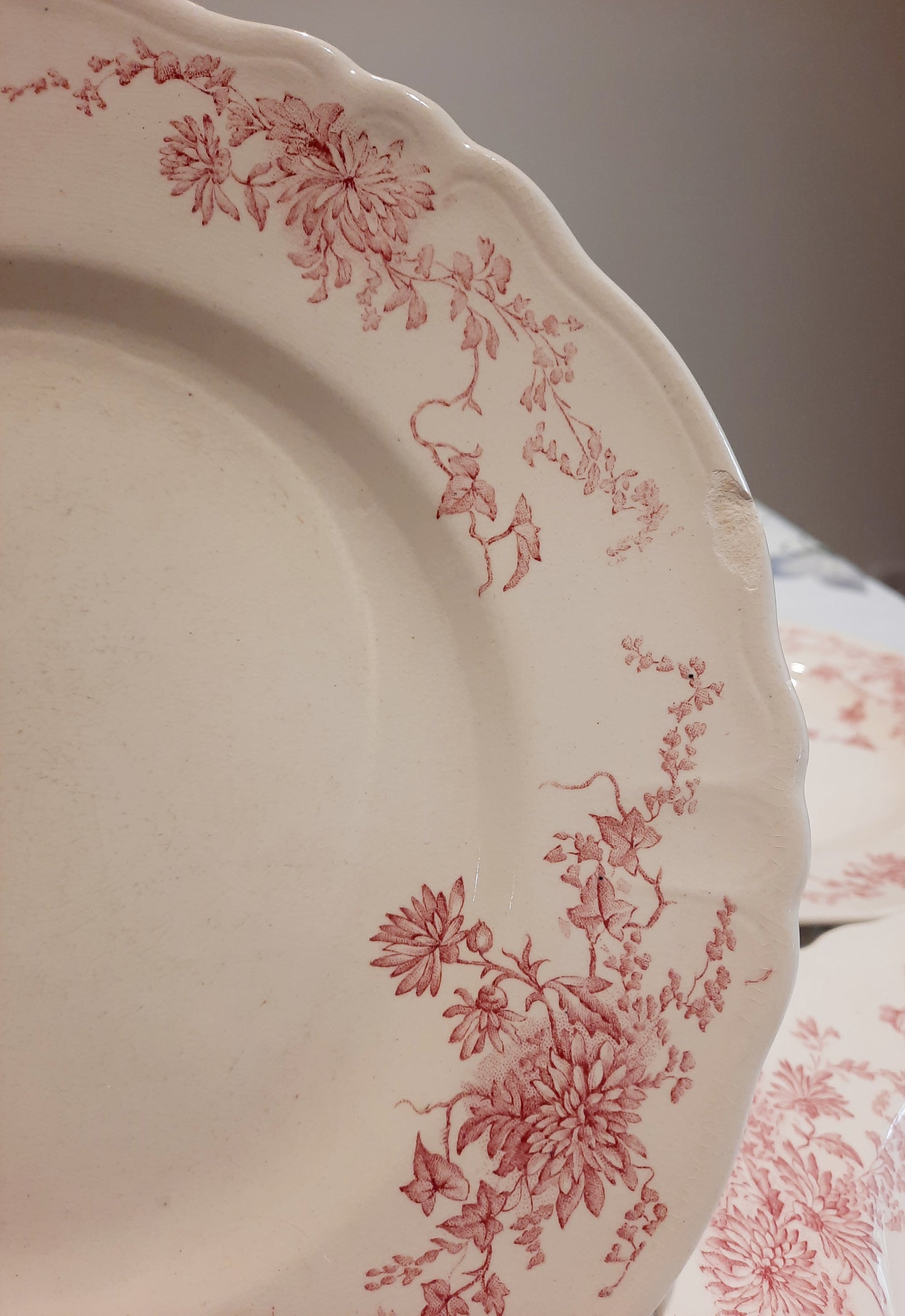 4 assiettes plates (2)