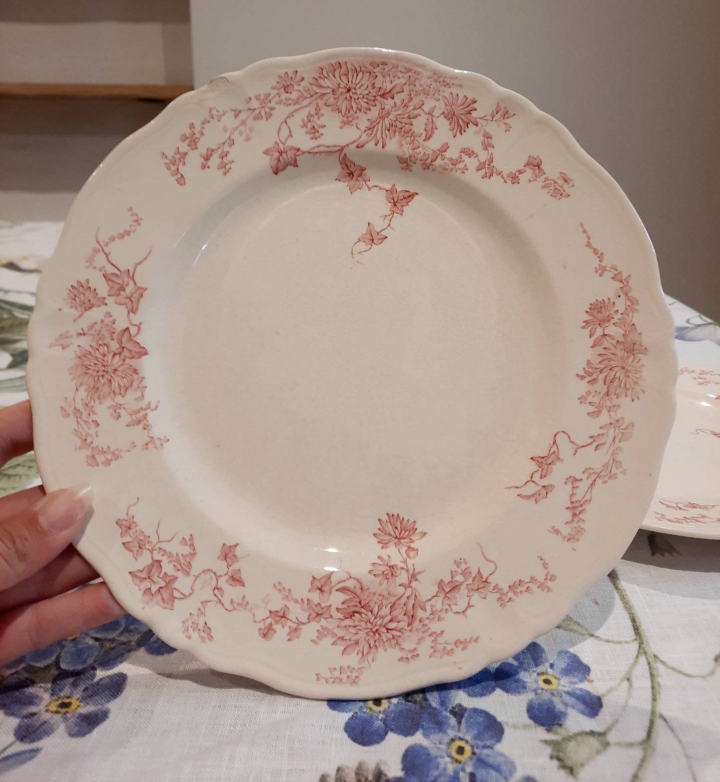 4 assiettes plates (2)