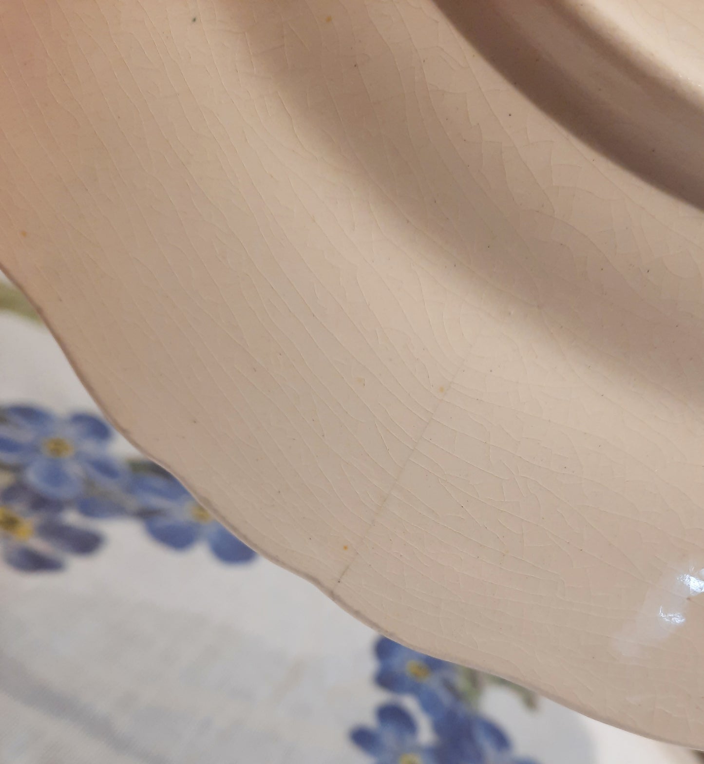 4 assiettes plates (2)