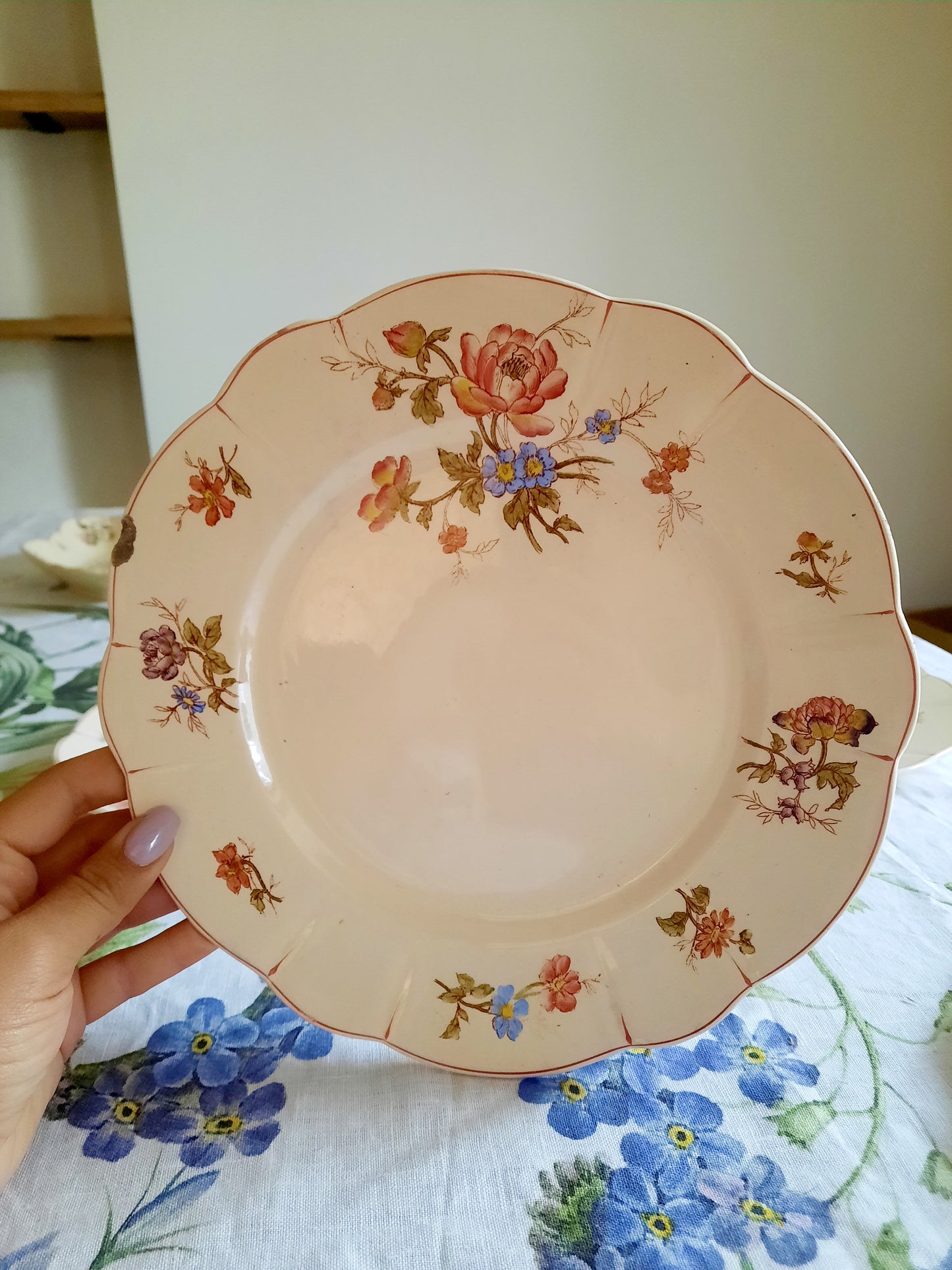 Lot de 4 assiettes plates Longchamp