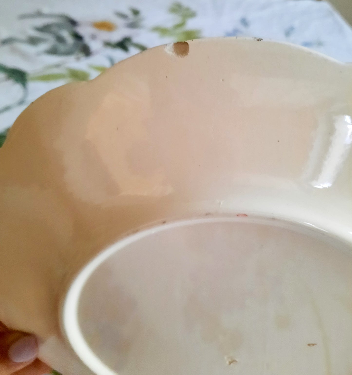 Assiette plate Longchamp