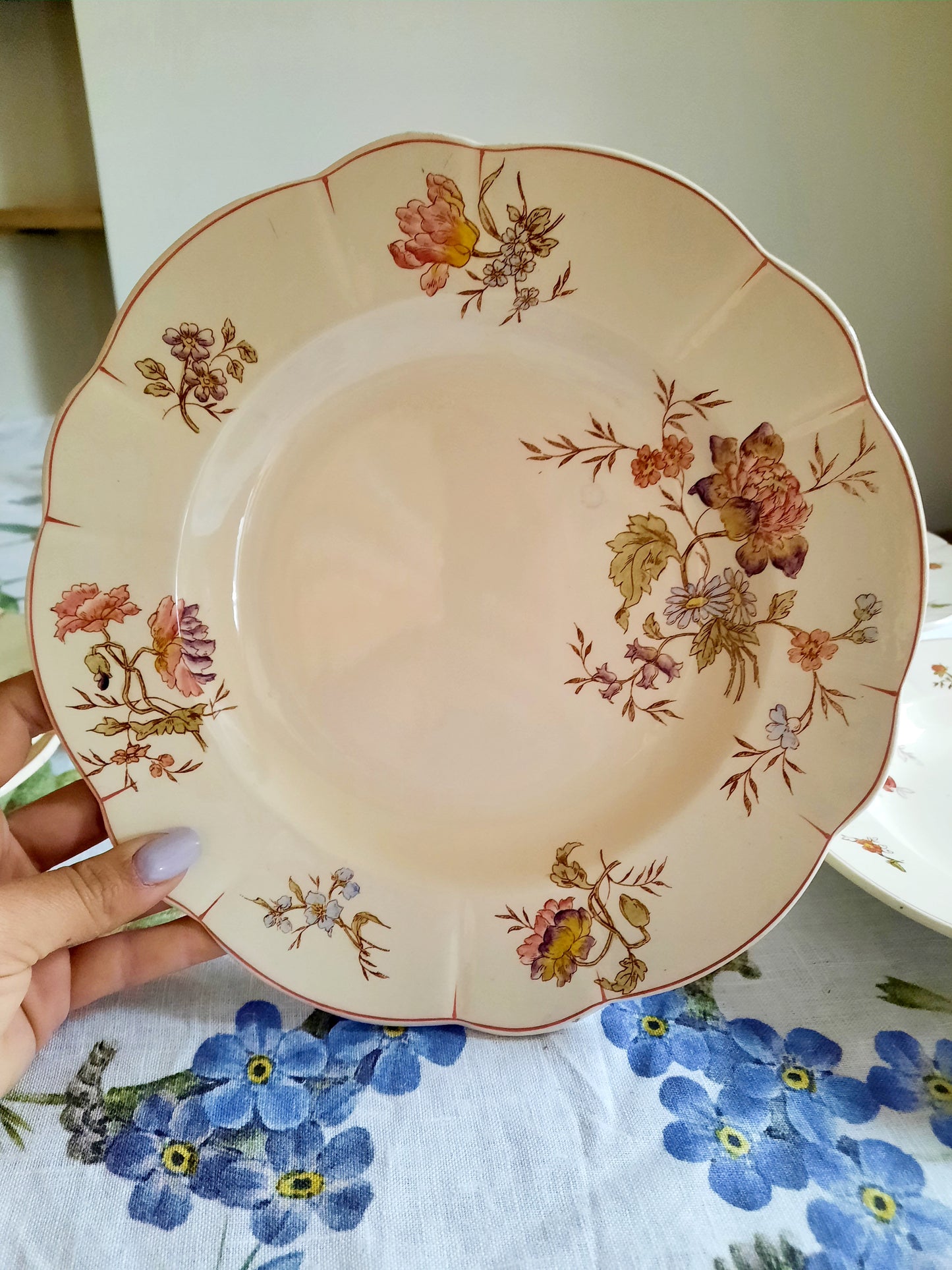Lot de 6 assiettes creuses Longchamp