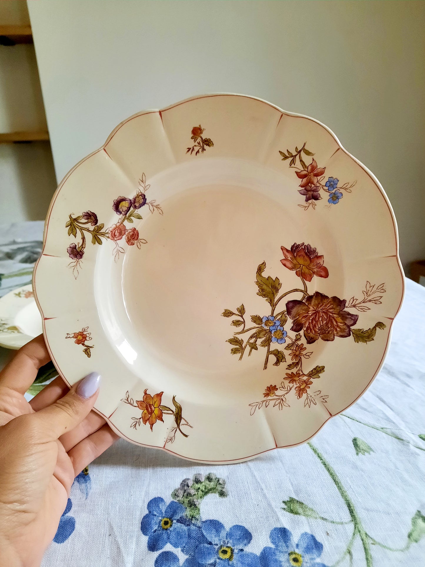 Lot de 6 assiettes creuses Longchamp