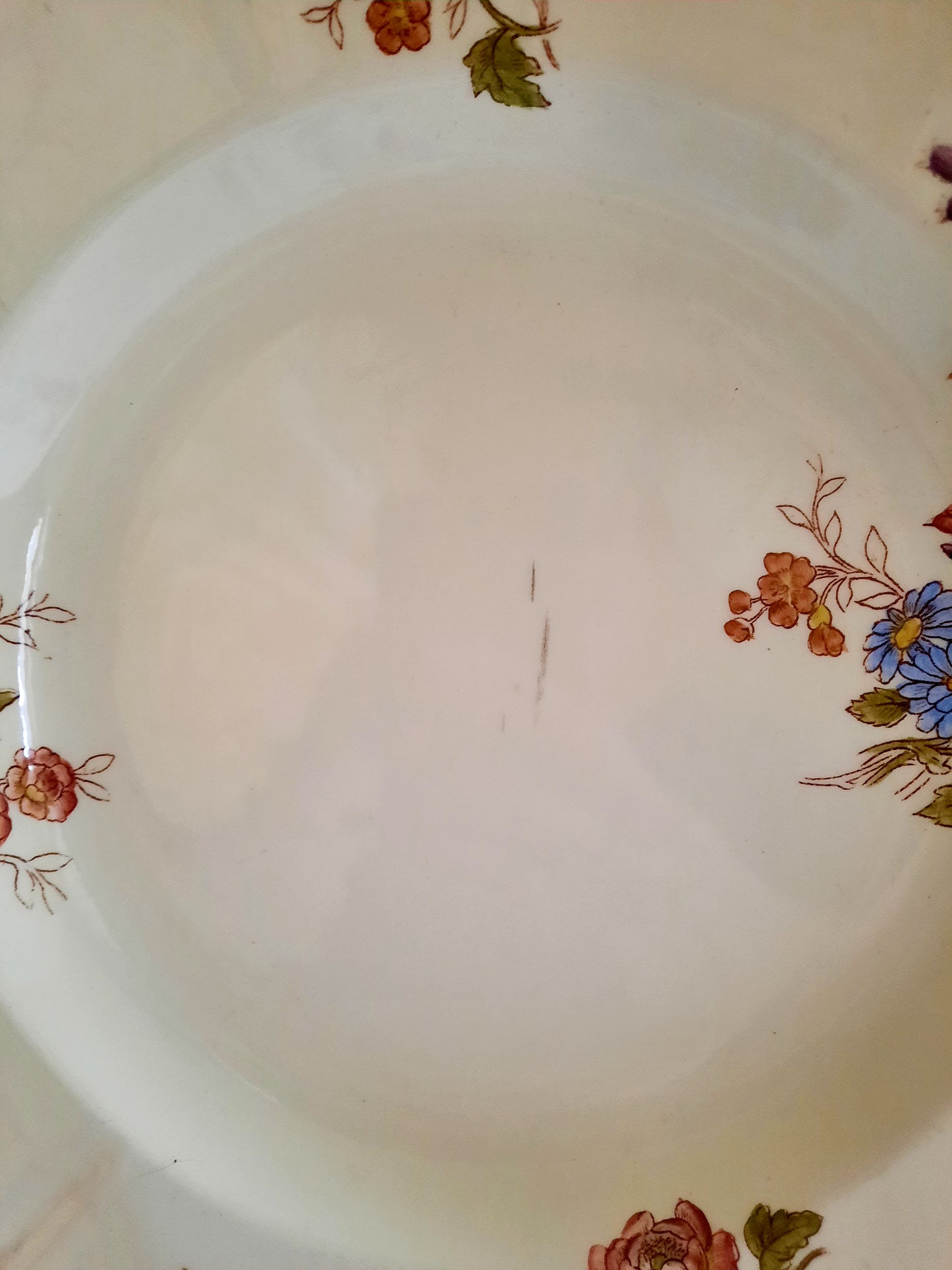 Lot de 6 assiettes creuses Longchamp