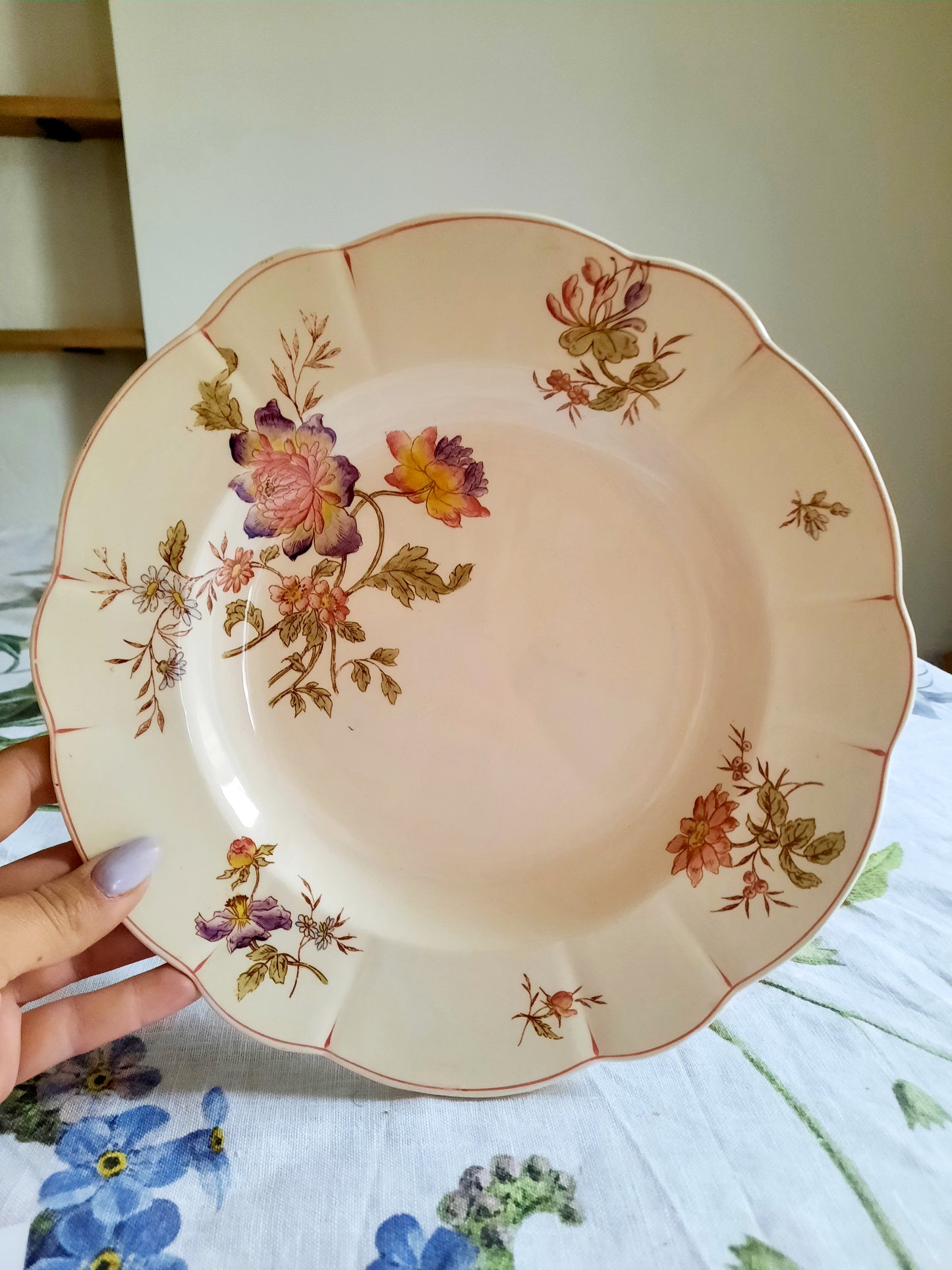 Lot de 6 assiettes creuses Longchamp