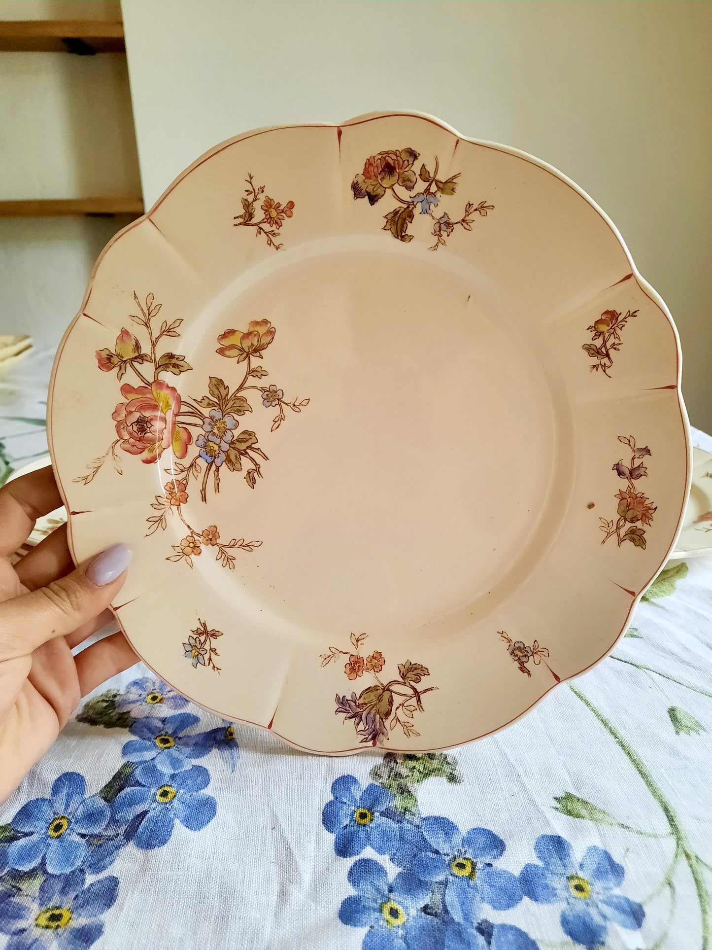 Lot de 6 assiettes plates Longchamp (2)