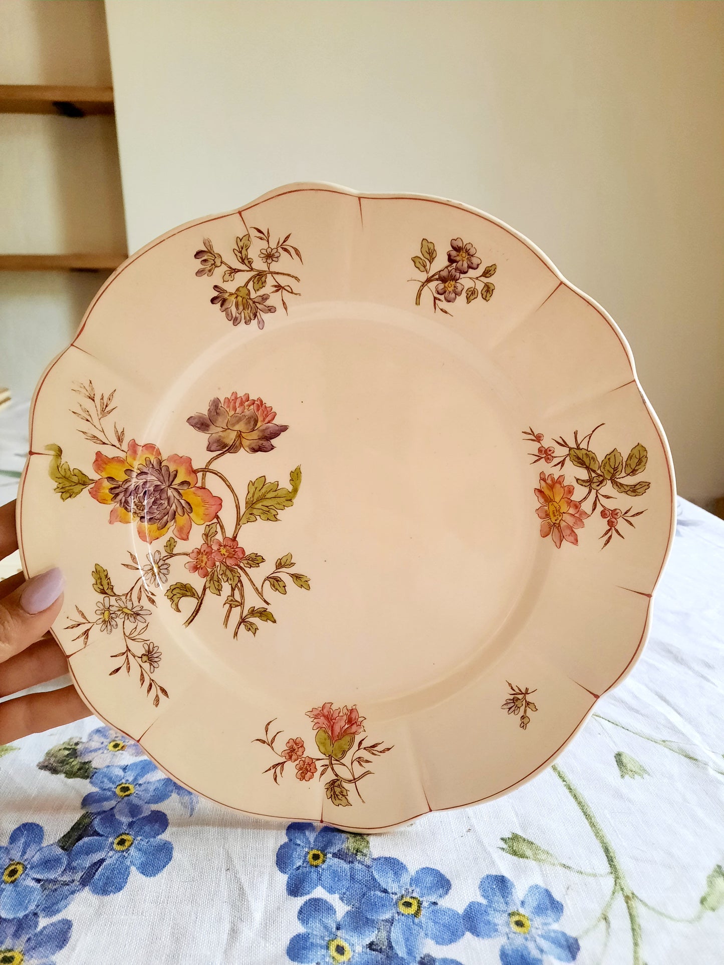 Lot de 6 assiettes plates Longchamp (2)