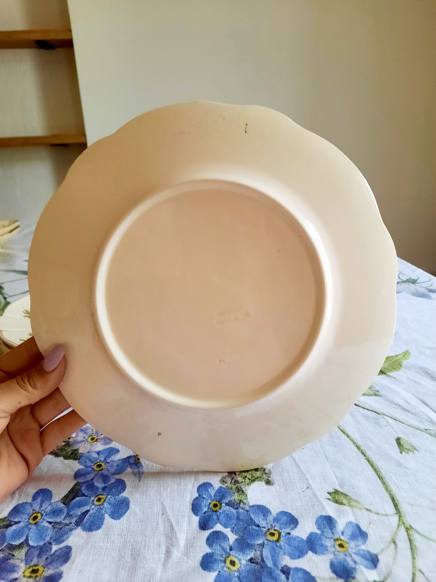 Lot de 6 assiettes plates Longchamp (2)