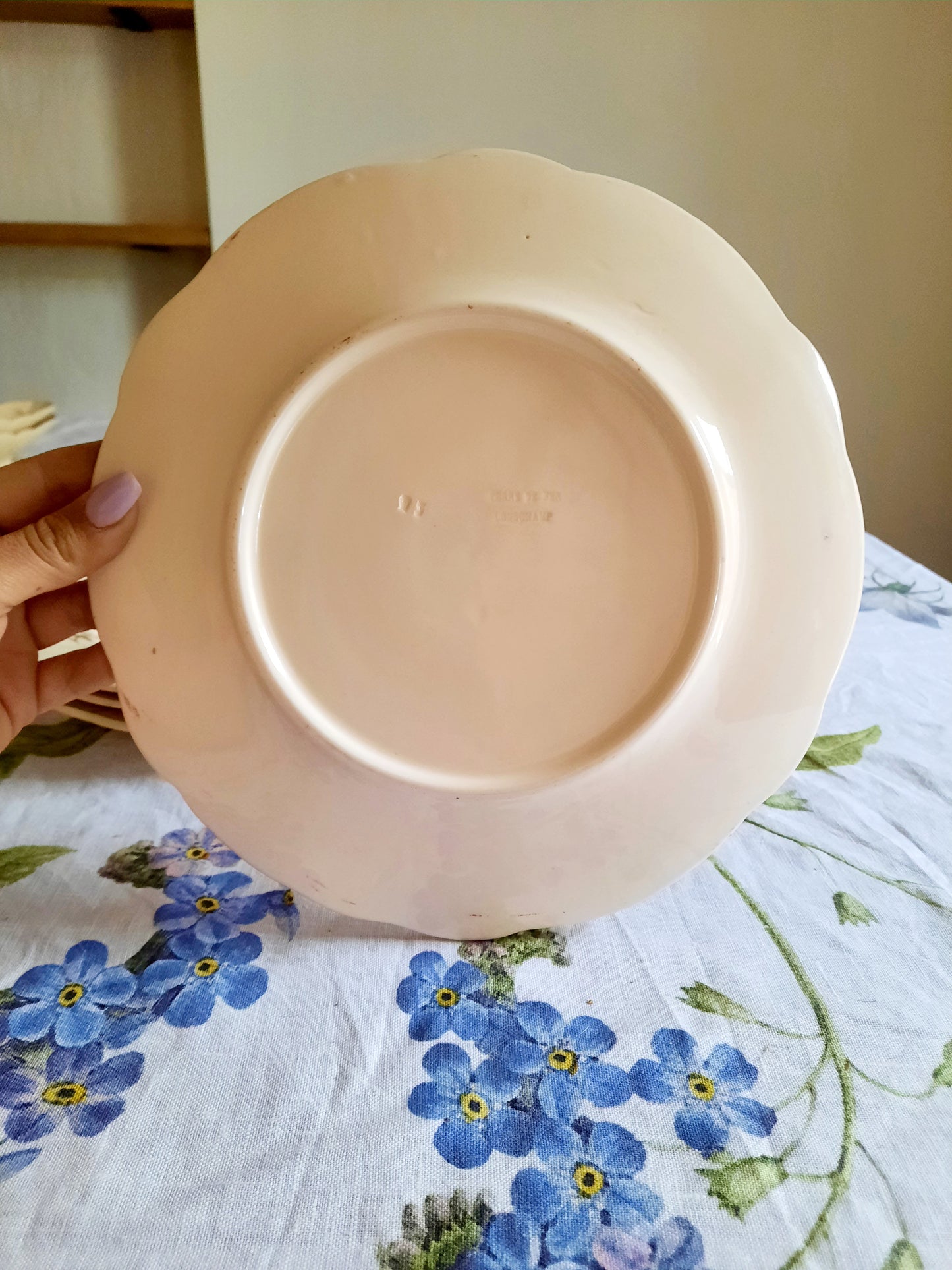 Lot de 6 assiettes plates Longchamp (2)