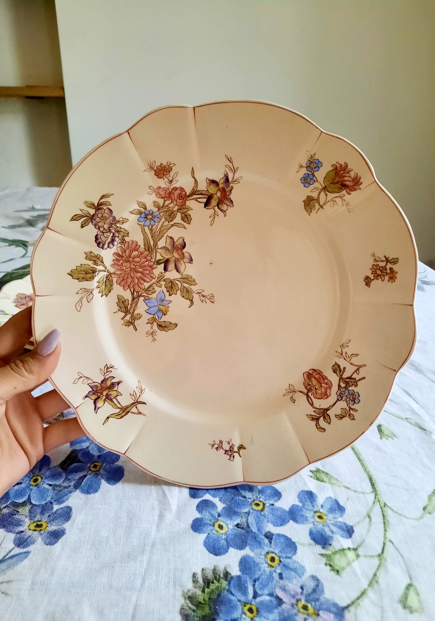 Lot de 6 assiettes plates Longchamp (2)