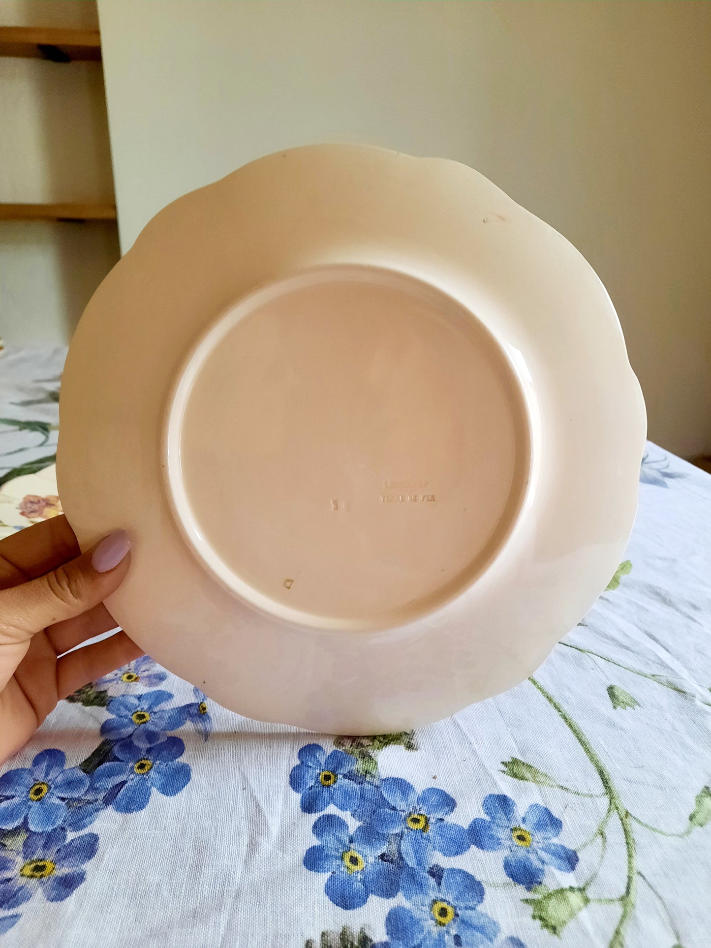 Lot de 6 assiettes plates Longchamp (2)