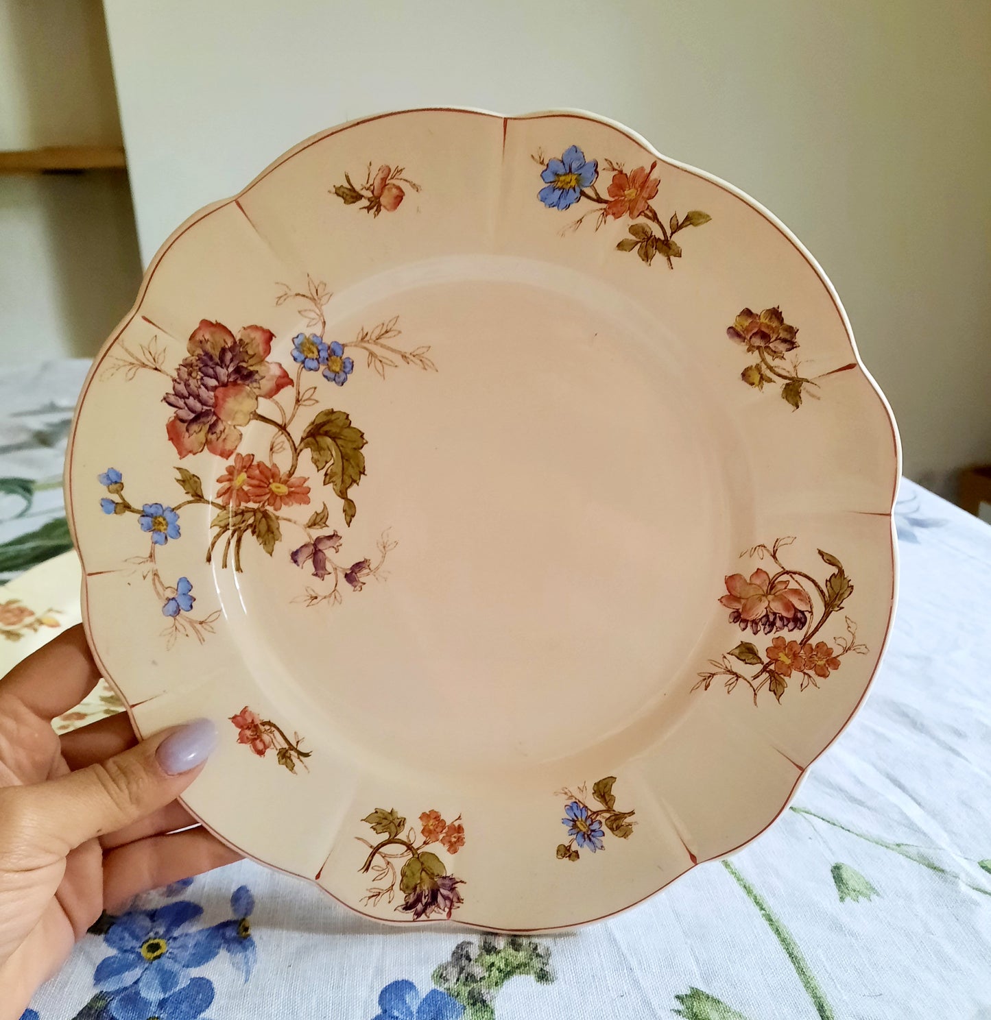 Lot de 6 assiettes plates Longchamp (2)