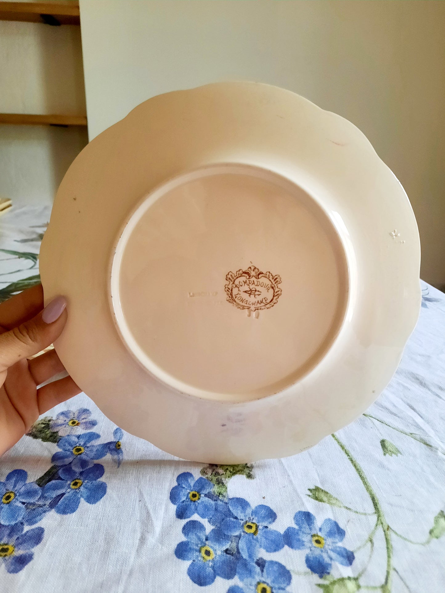 Lot de 6 assiettes plates Longchamp (2)