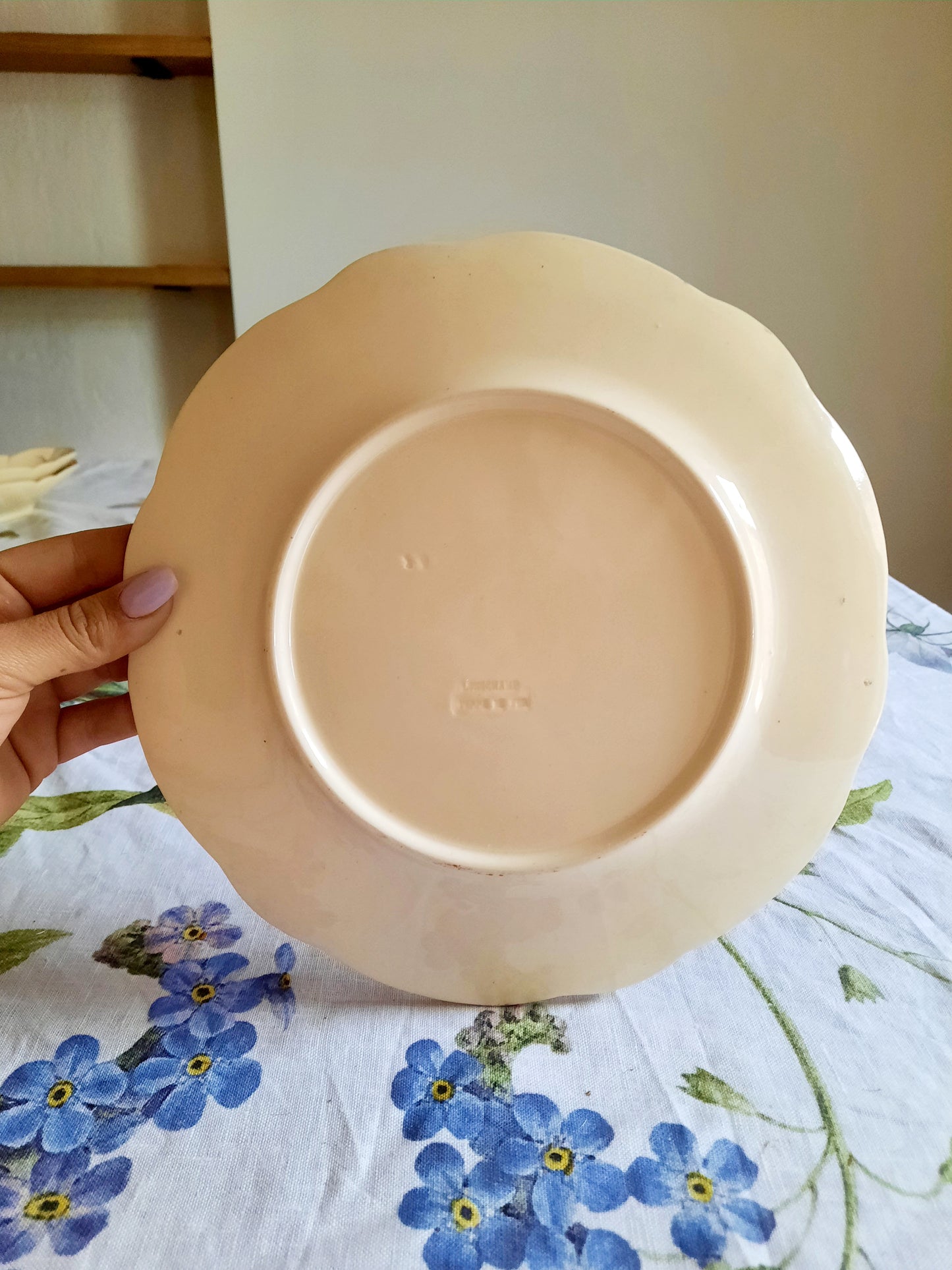 Lot de 6 assiettes plates Longchamp (2)