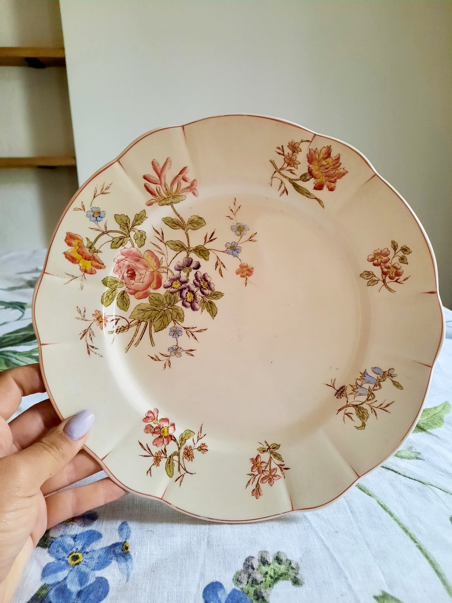 Lot de 6 assiettes plates Longchamp (1)
