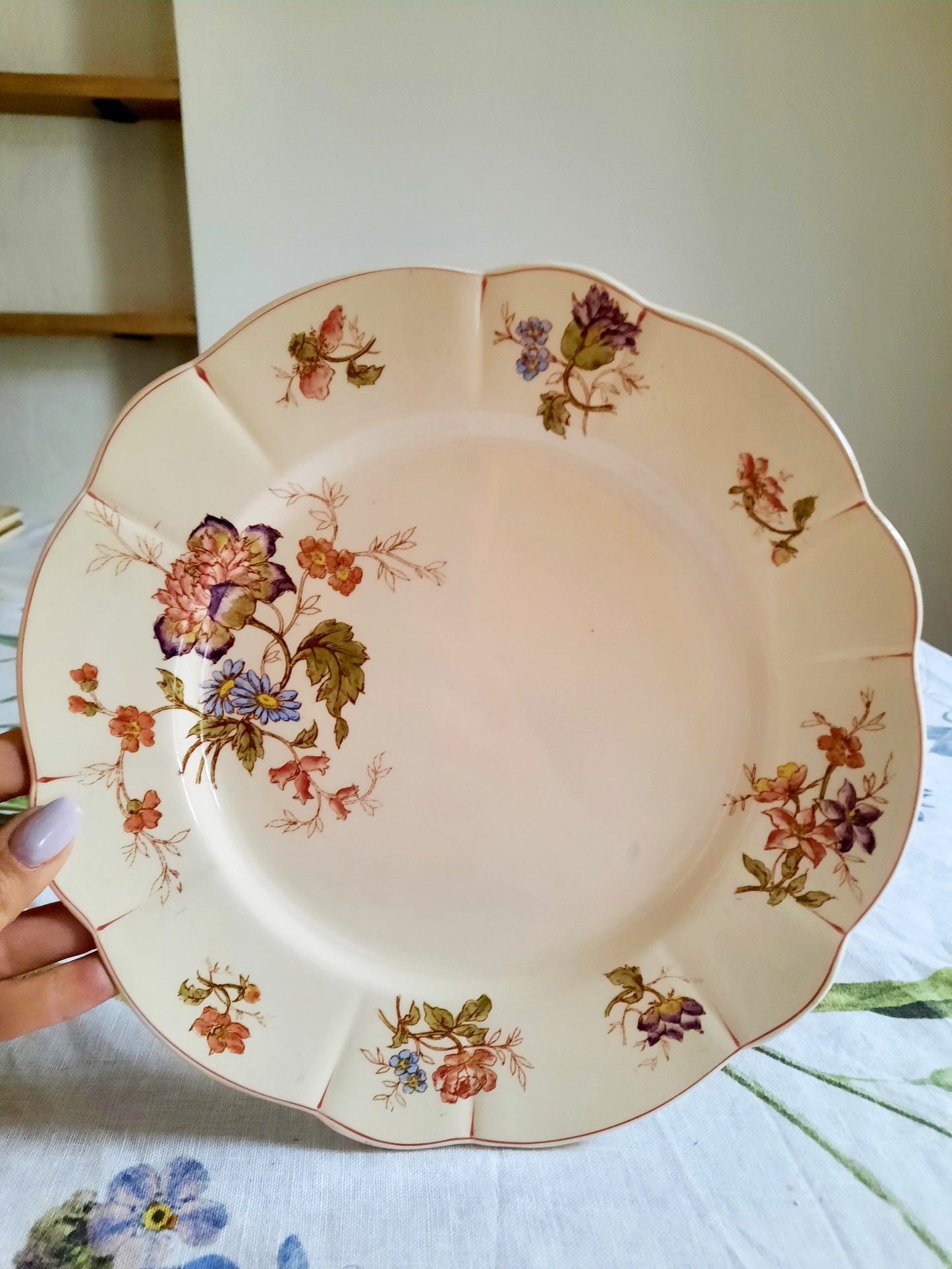 Lot de 6 assiettes plates Longchamp (1)