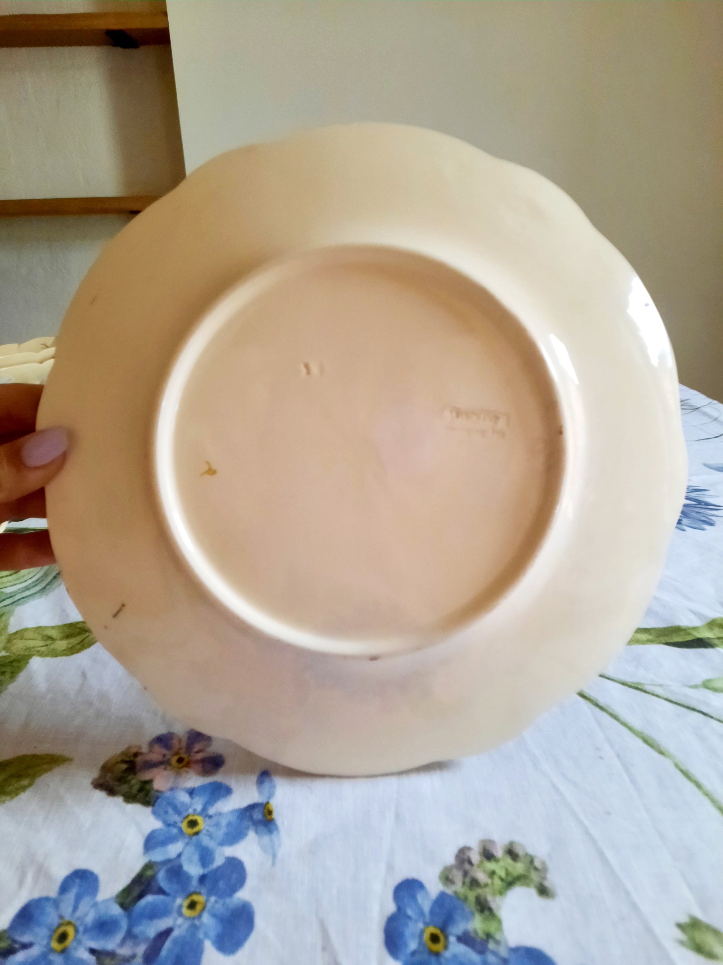 Lot de 6 assiettes plates Longchamp (1)
