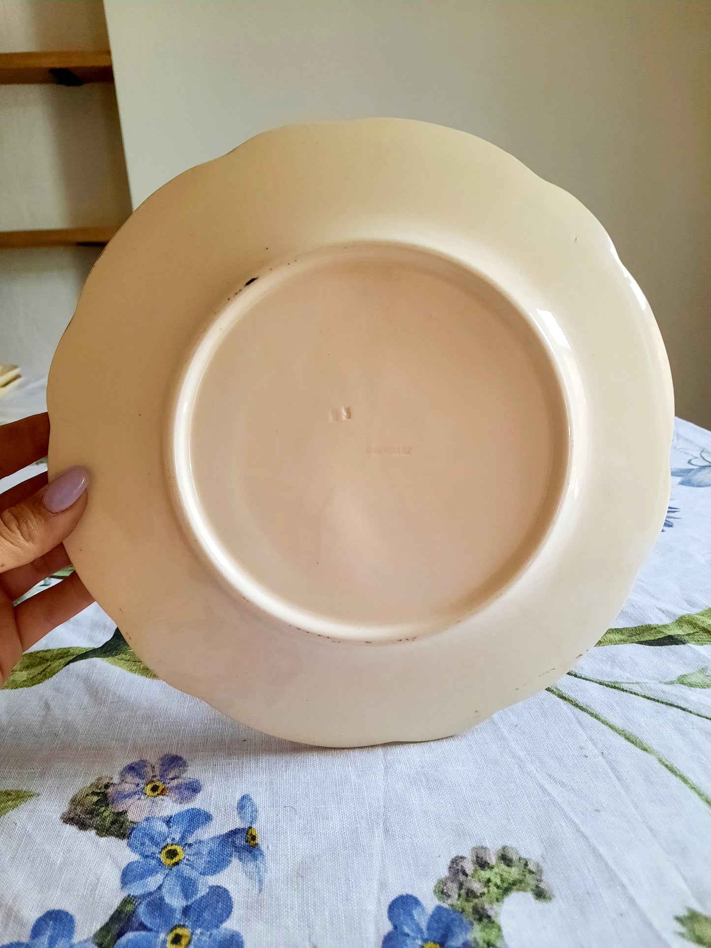 Lot de 6 assiettes plates Longchamp (1)