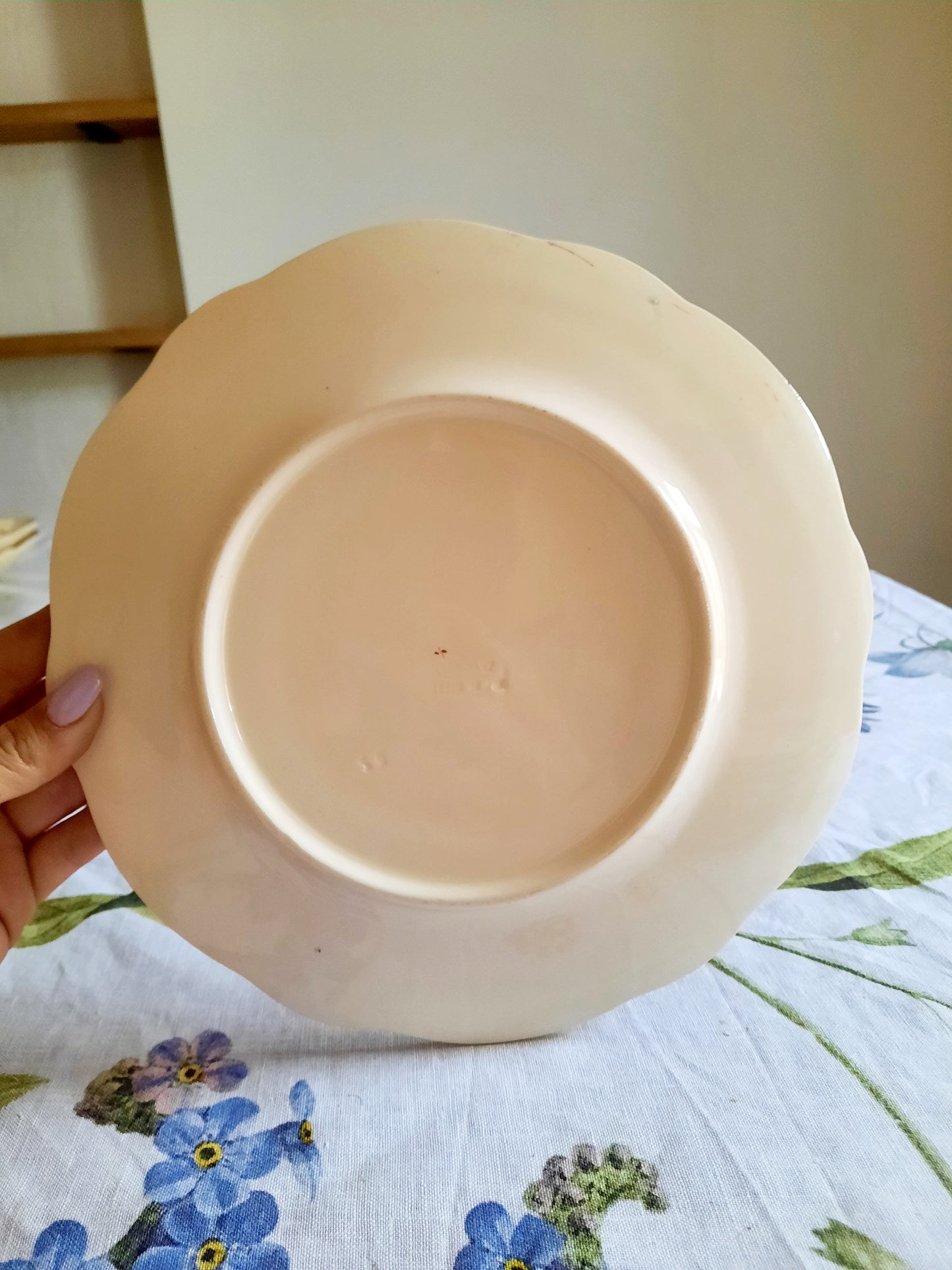 Lot de 6 assiettes plates Longchamp (1)