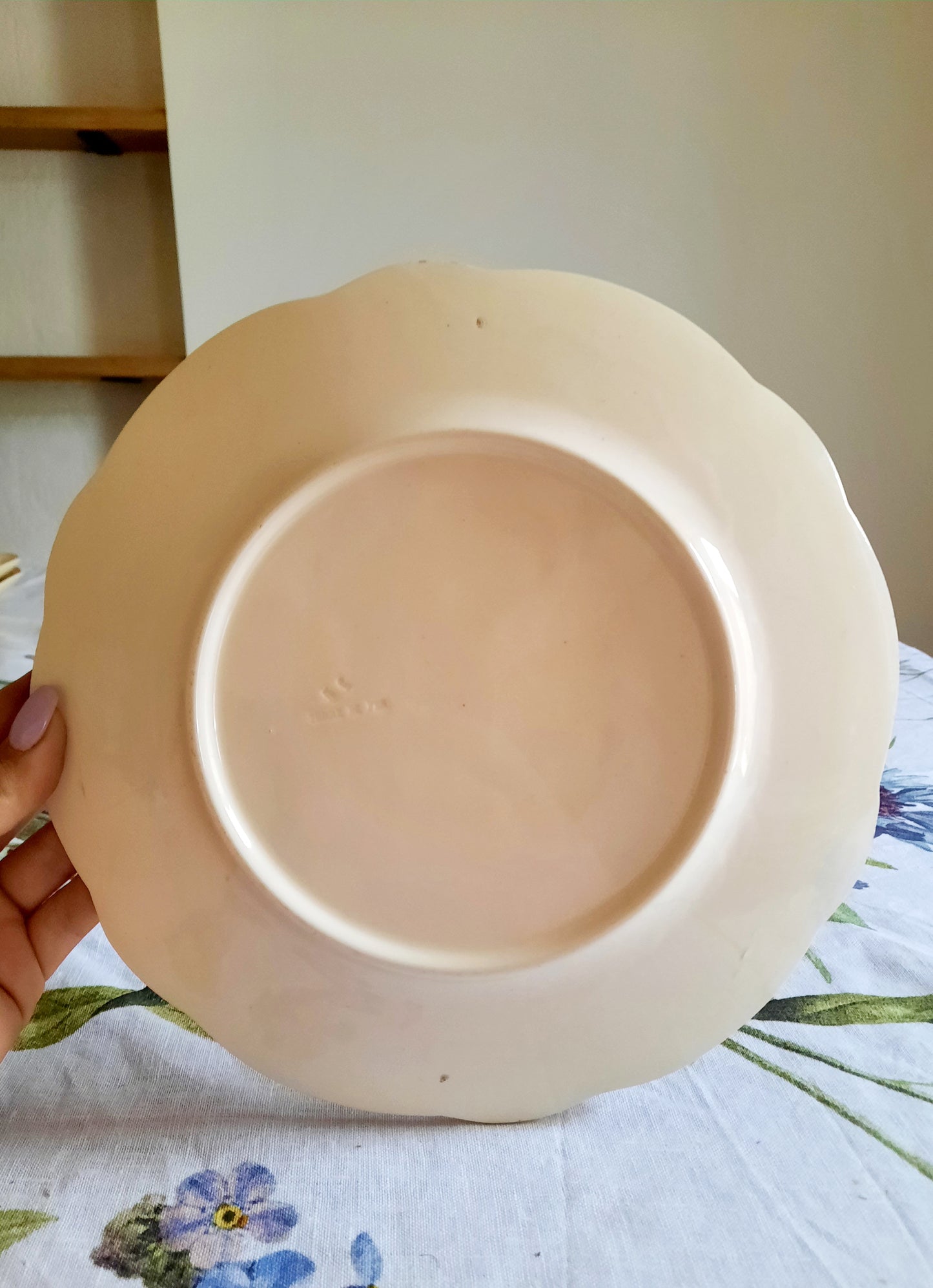 Lot de 6 assiettes plates Longchamp (1)