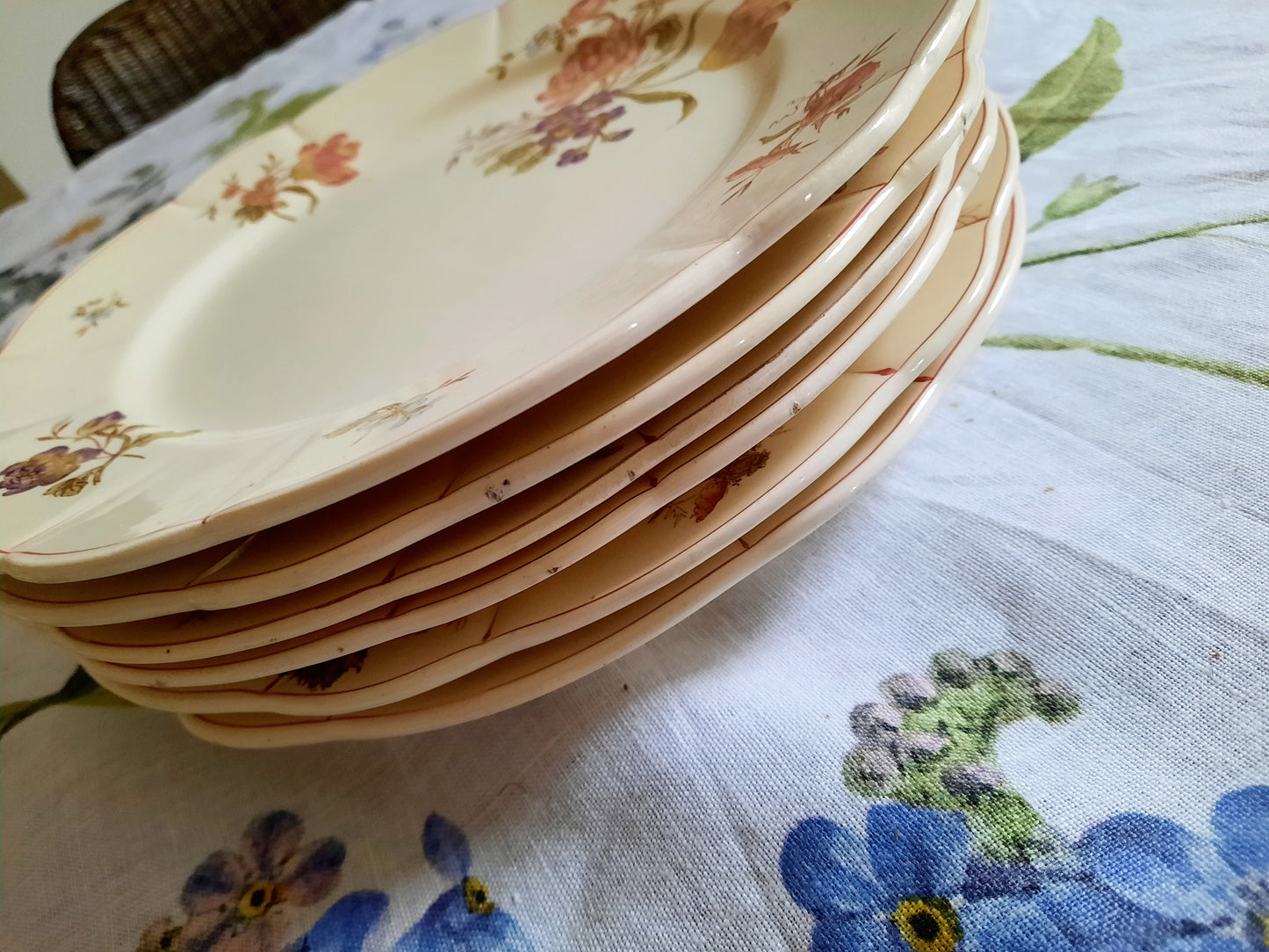 Lot de 6 assiettes plates Longchamp (1)