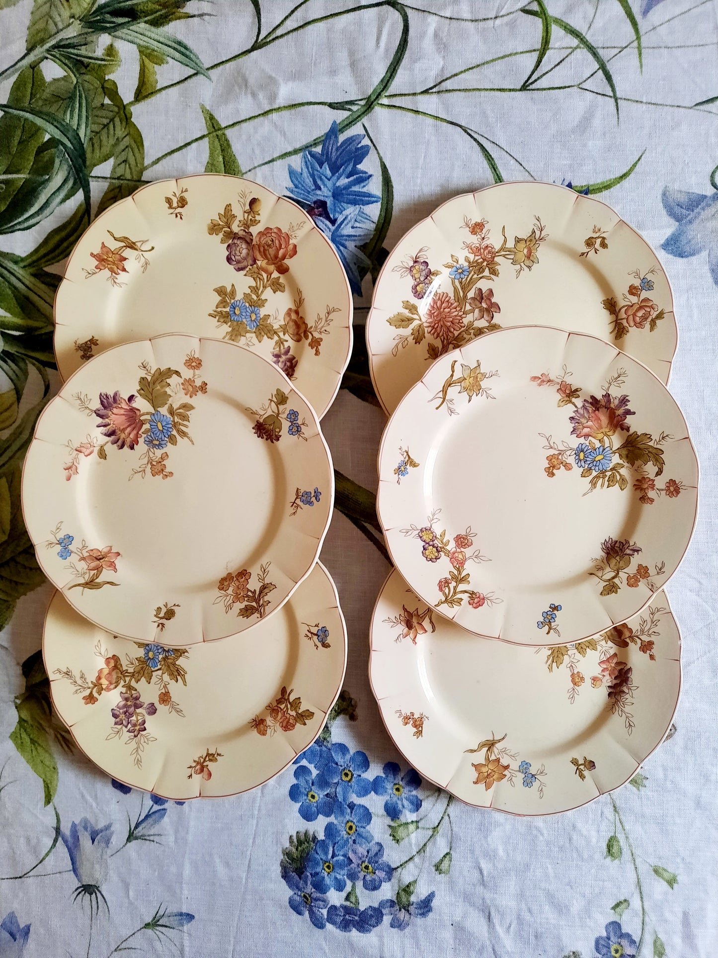 Lot de 6 assiettes à dessert Longchamp (2)