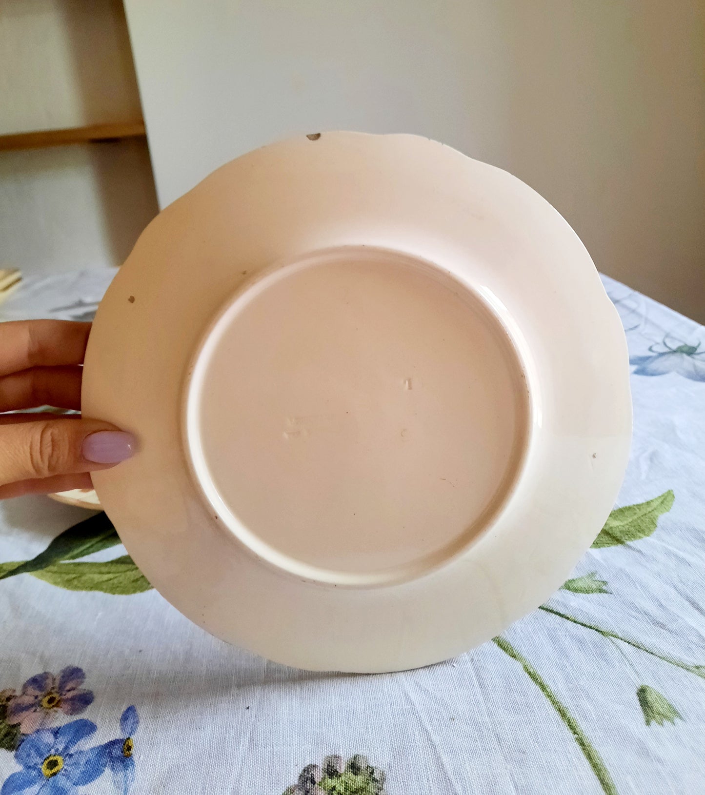 Lot de 6 assiettes à dessert Longchamp (1)