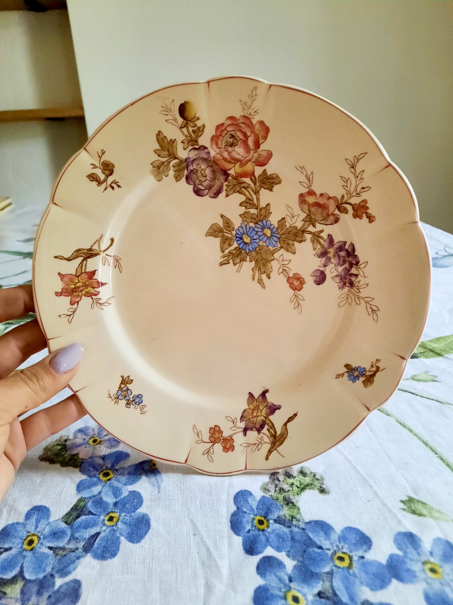 Lot de 6 assiettes à dessert Longchamp (1)