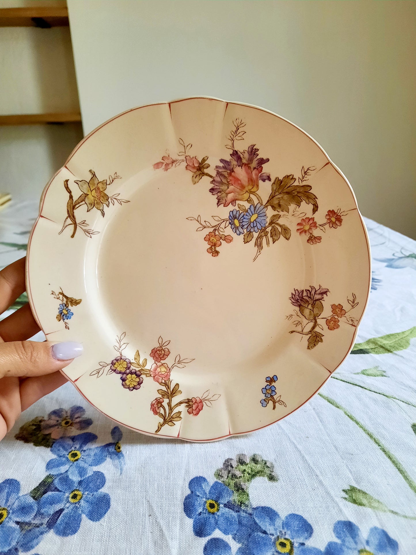 Lot de 6 assiettes à dessert Longchamp (2)