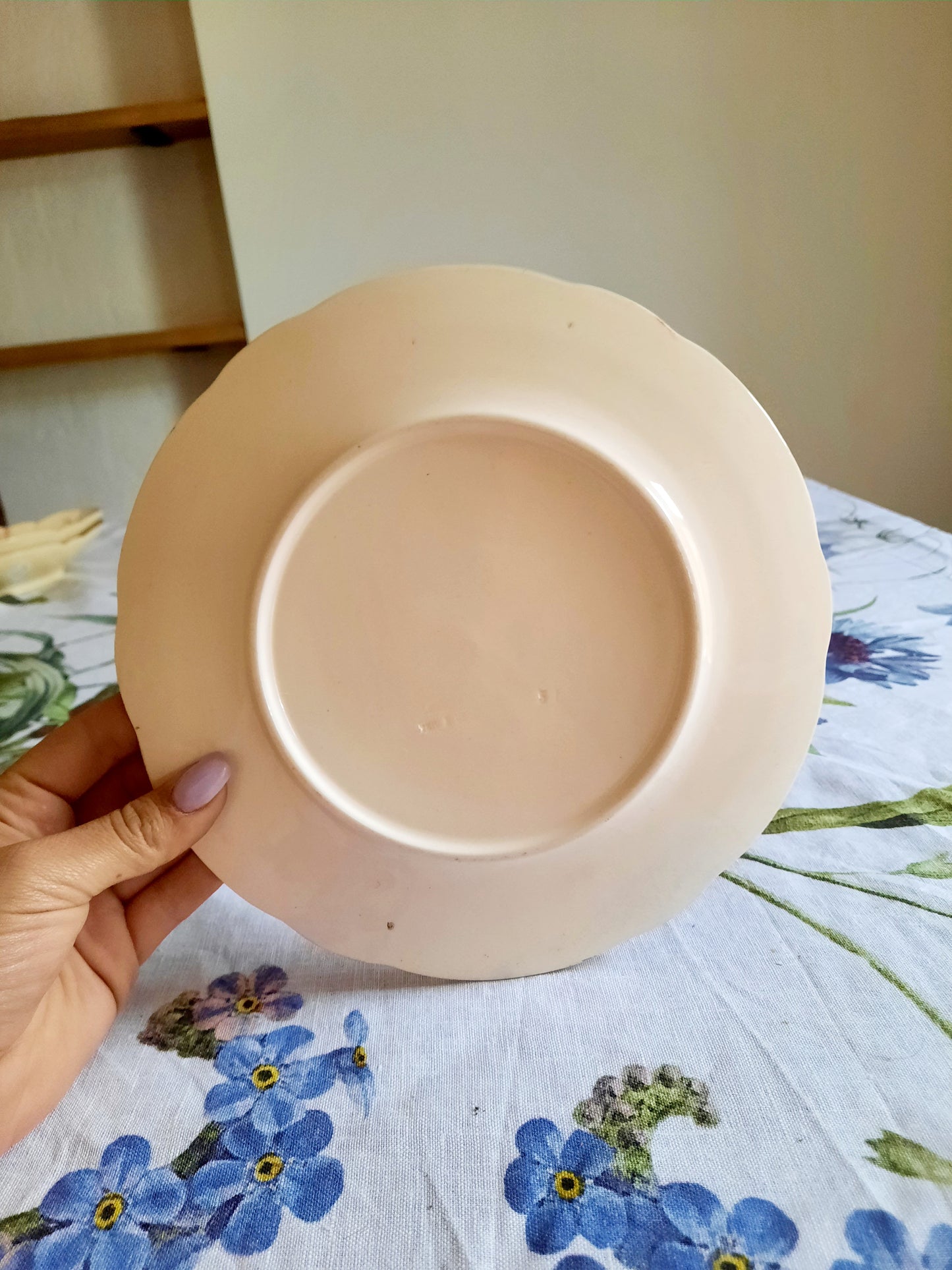Lot de 6 assiettes à dessert Longchamp (2)