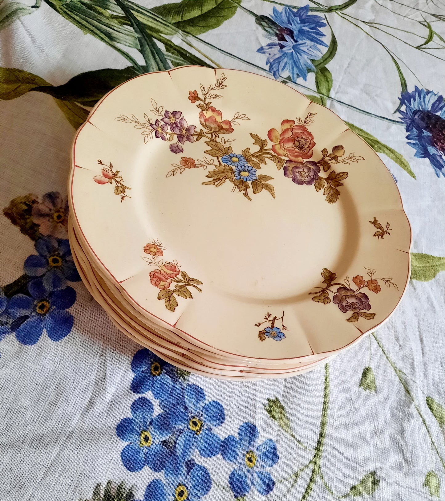 Lot de 6 assiettes à dessert Longchamp (2)