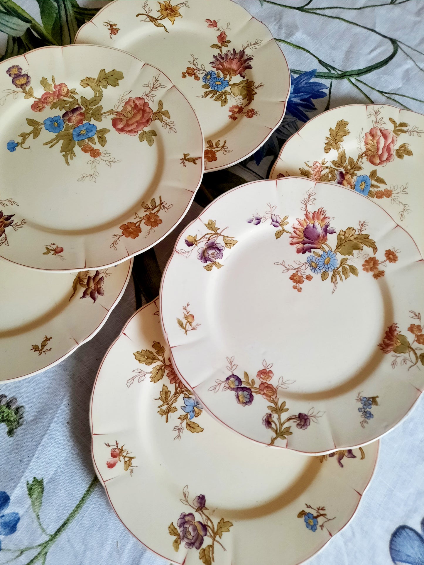 Lot de 6 assiettes à dessert Longchamp (1)