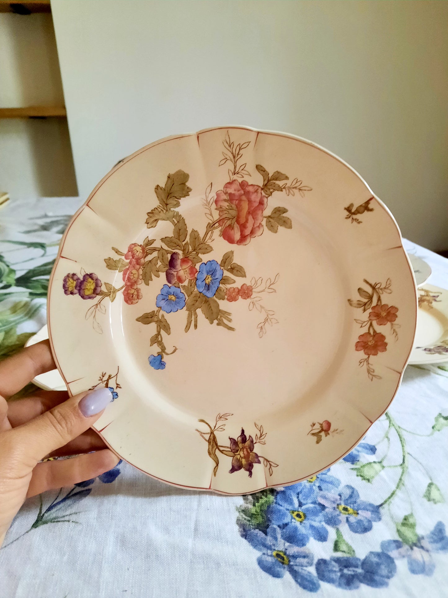 Lot de 6 assiettes à dessert Longchamp (1)