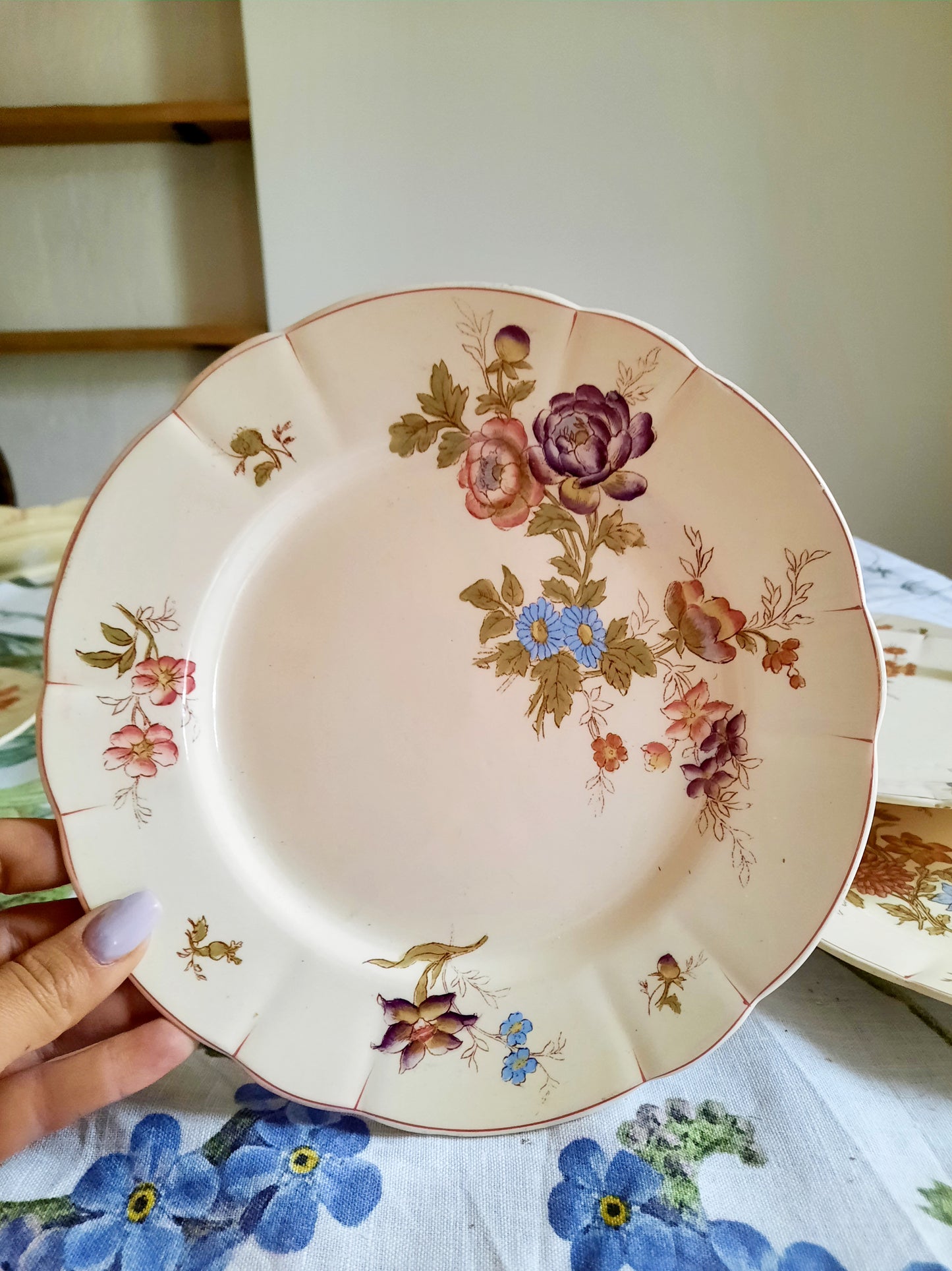 Lot de 6 assiettes à dessert Longchamp (1)