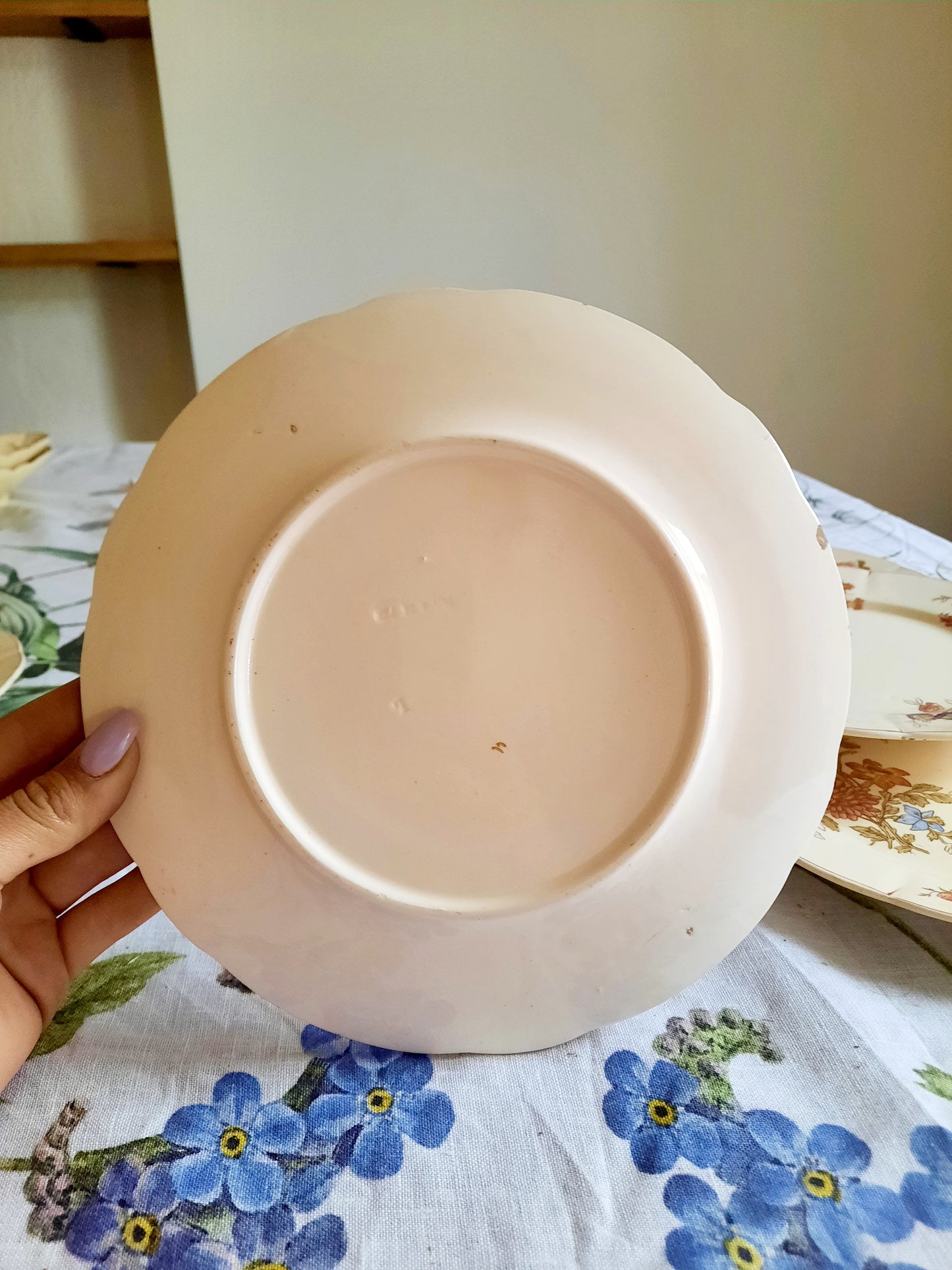 Lot de 6 assiettes à dessert Longchamp (1)