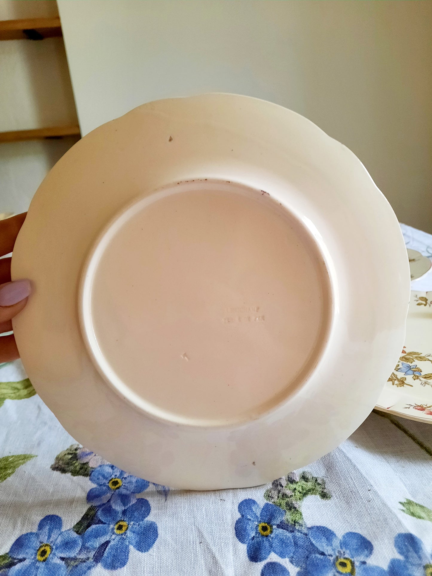 Lot de 6 assiettes à dessert Longchamp (1)