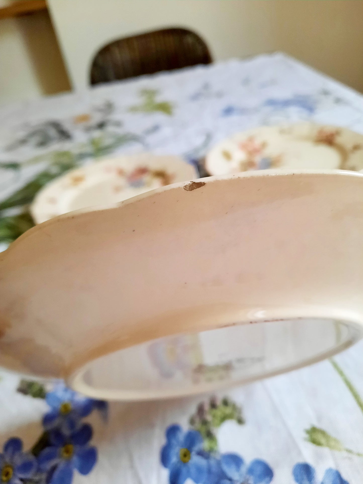 Lot de 6 assiettes à dessert Longchamp (1)