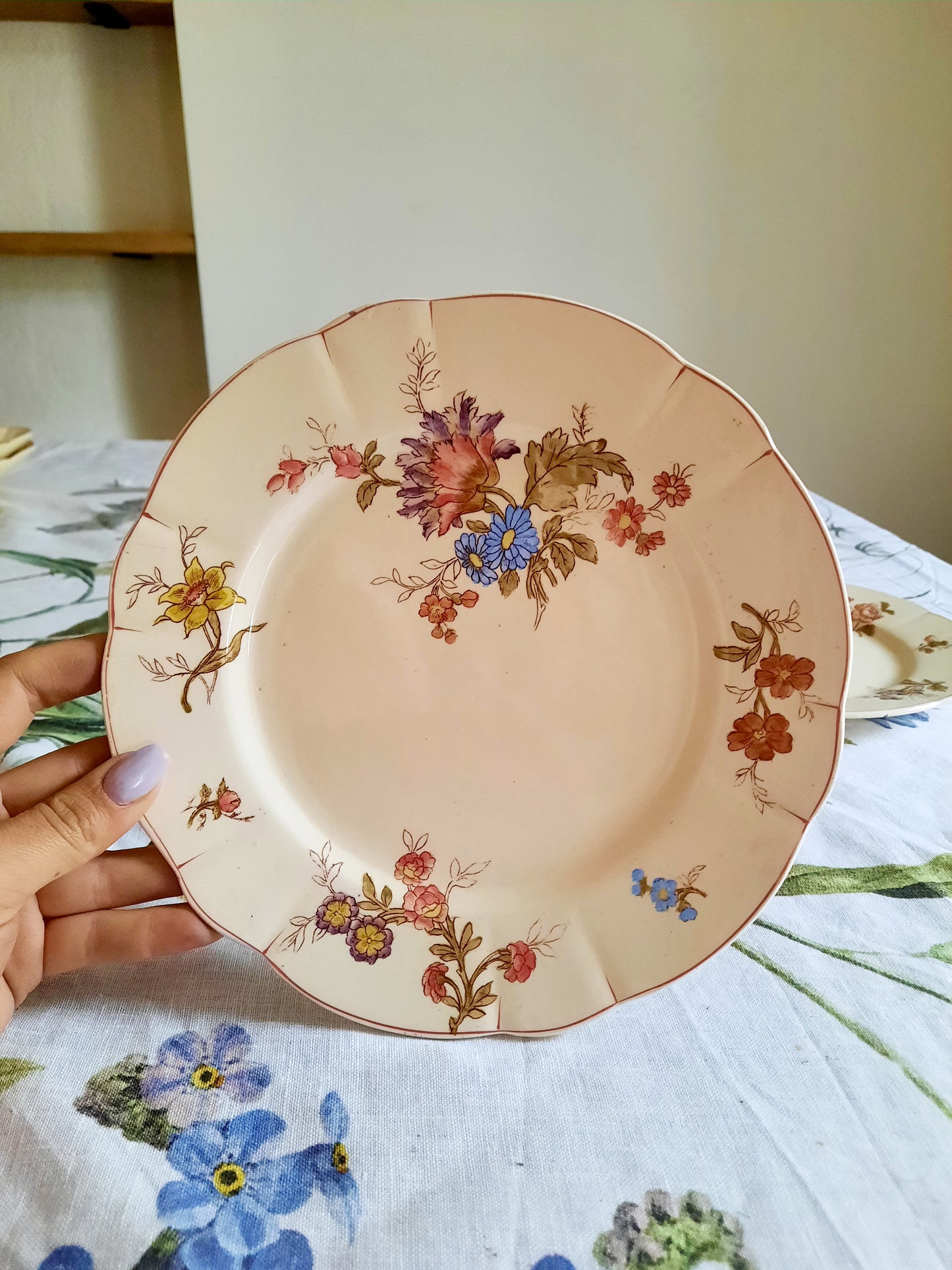 Lot de 6 assiettes à dessert Longchamp (1)